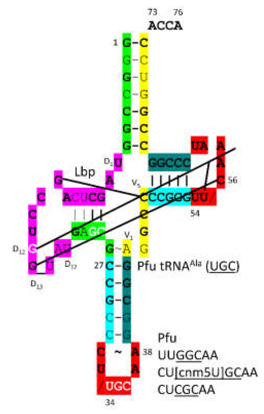Preprints 203151 g029