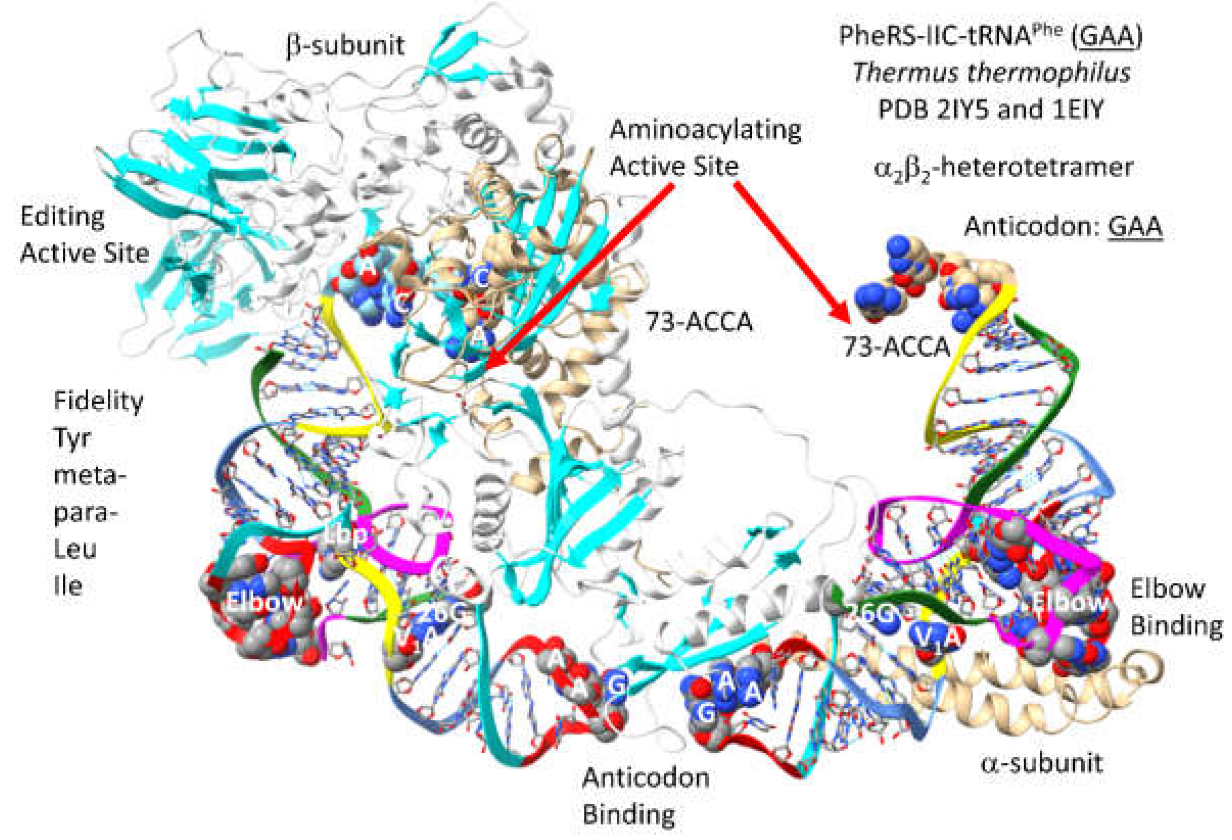Preprints 203151 g030
