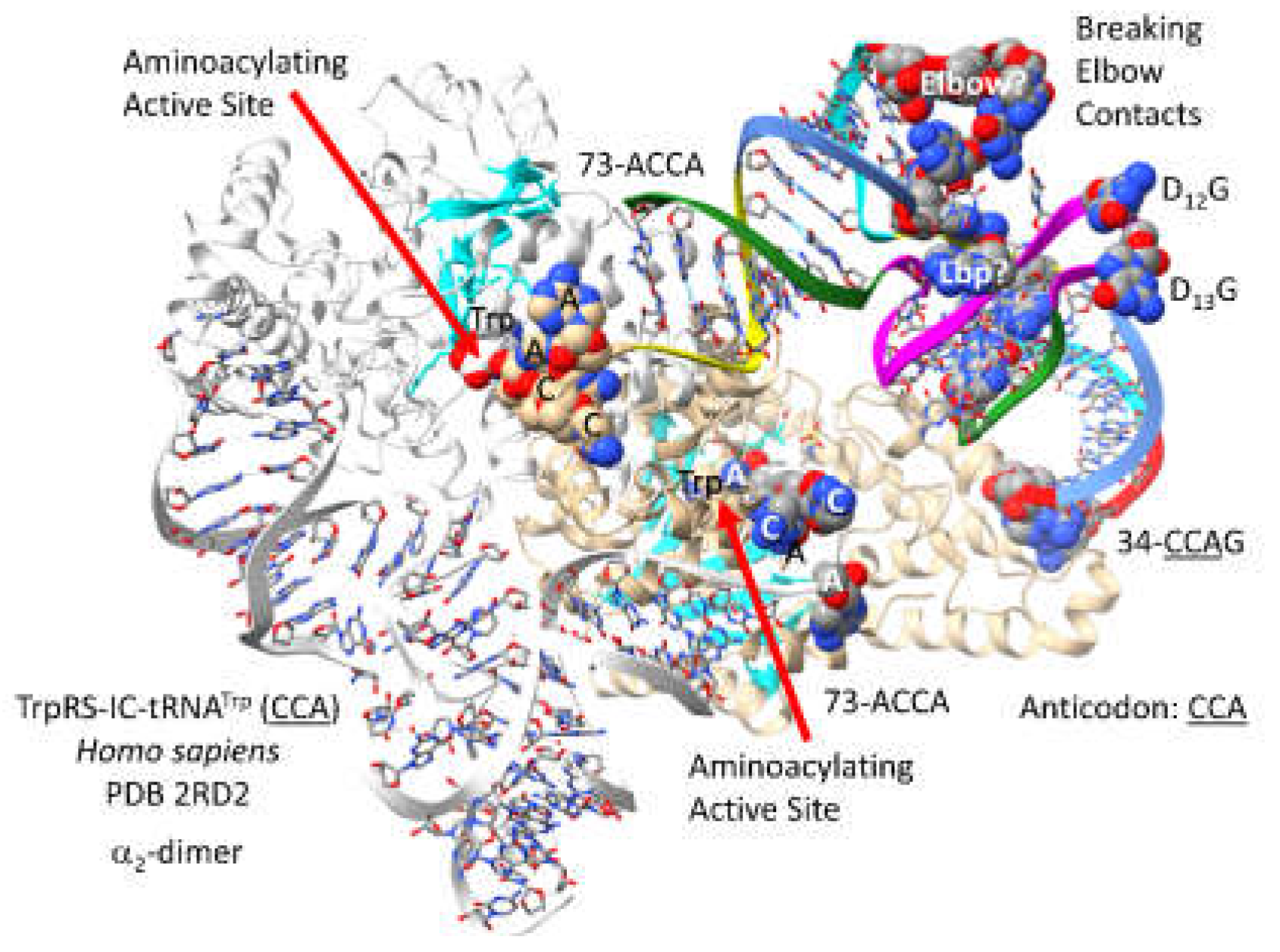 Preprints 203151 g034