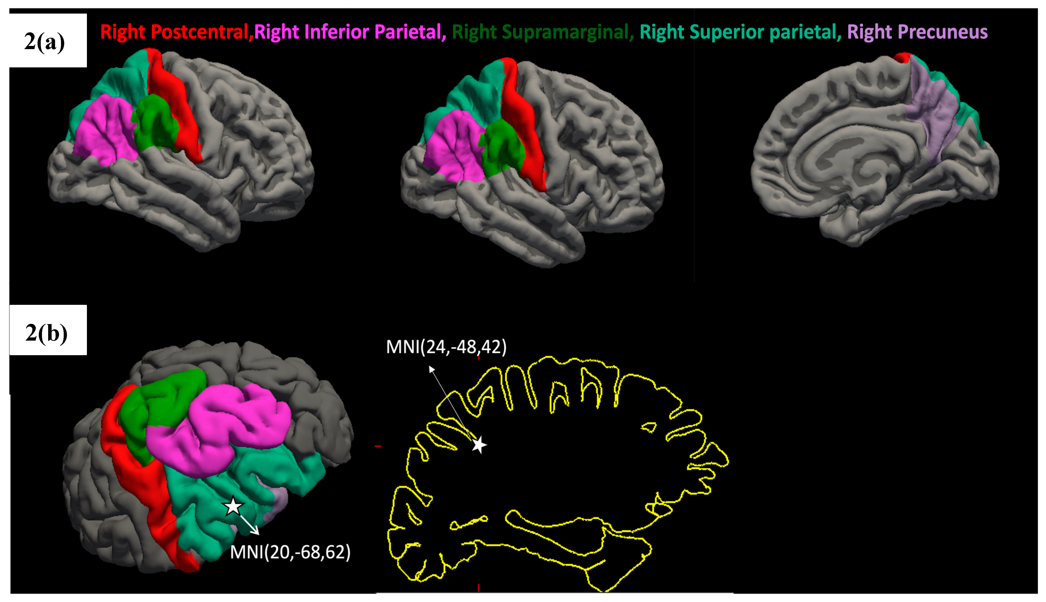Preprints 169862 g002