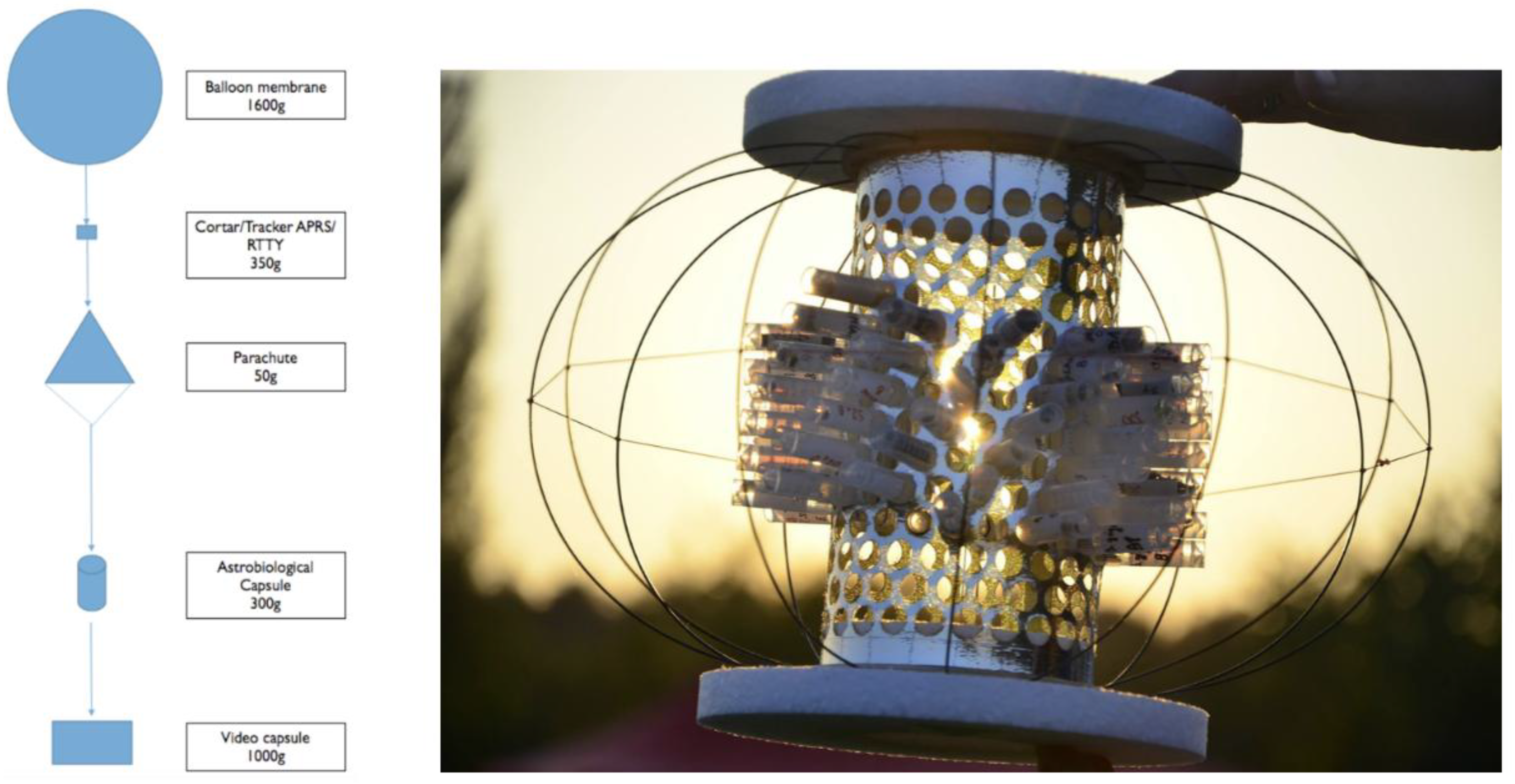 Preprints 148545 g001