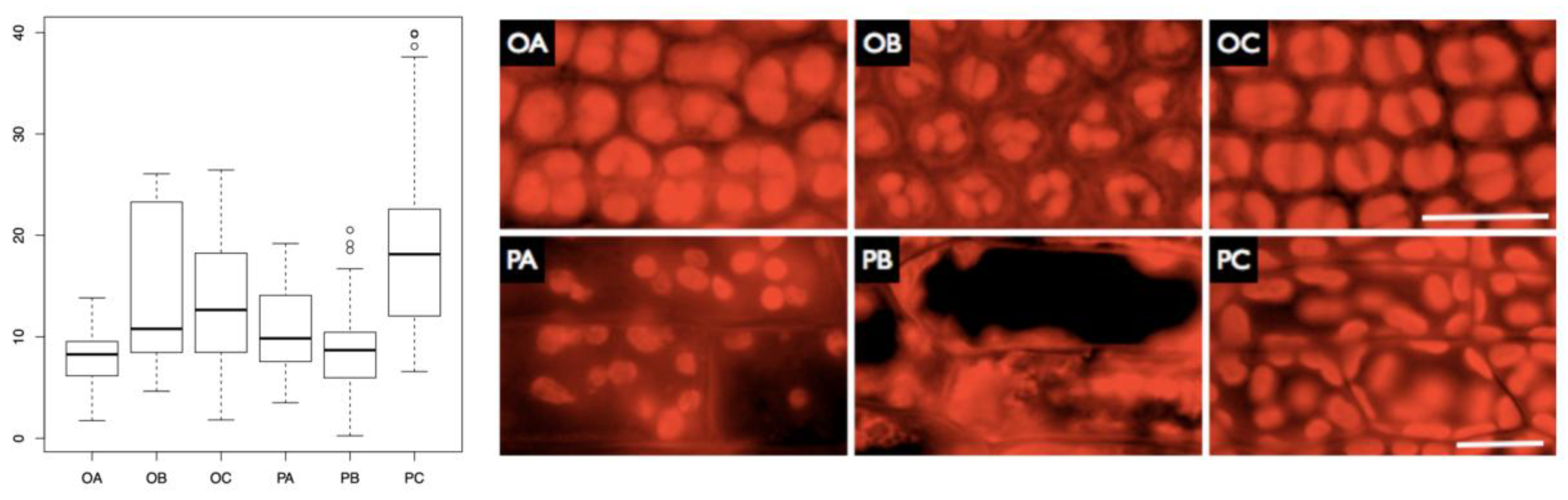 Preprints 148545 g005