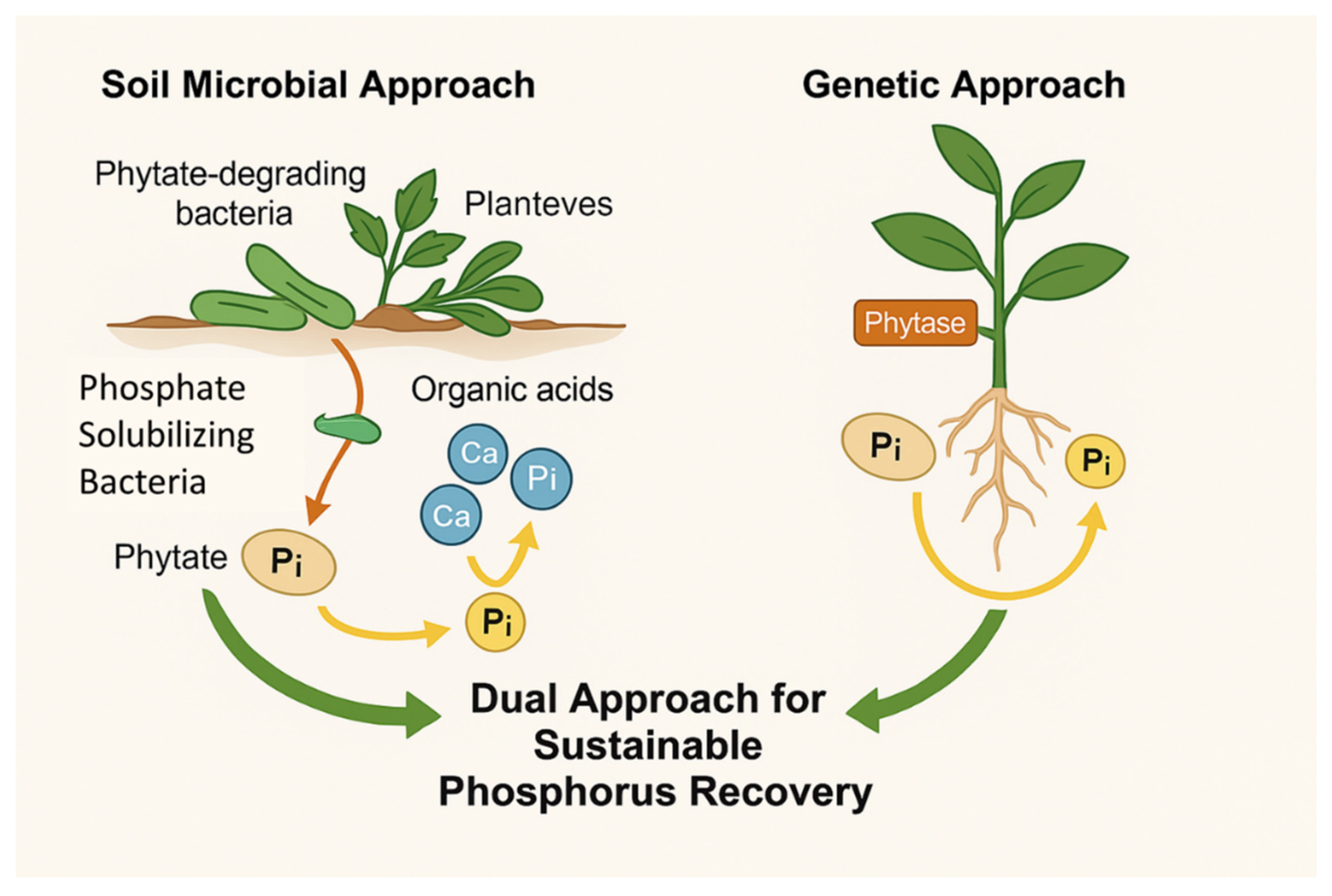 Preprints 156523 g001