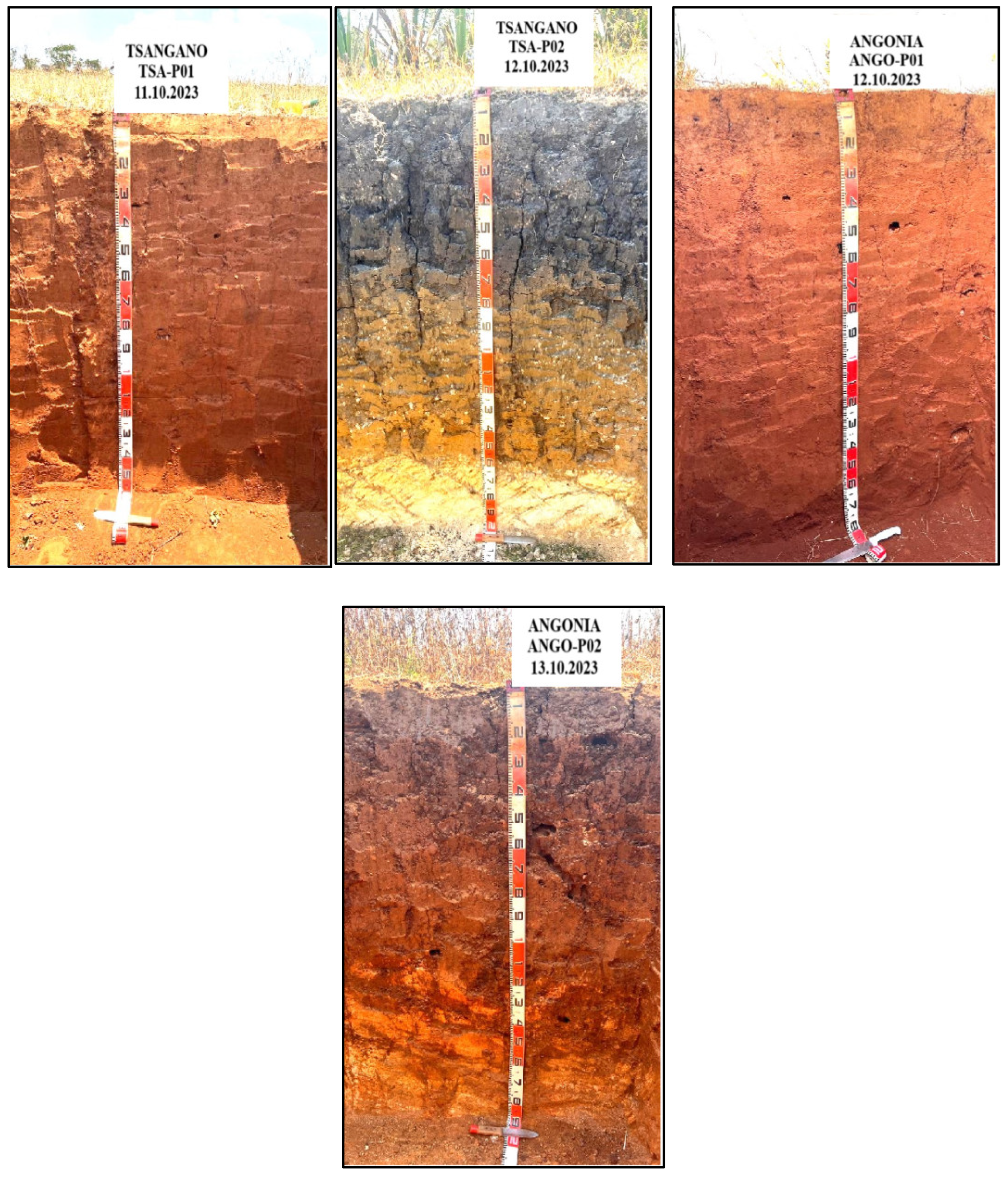 Preprints 152687 g003