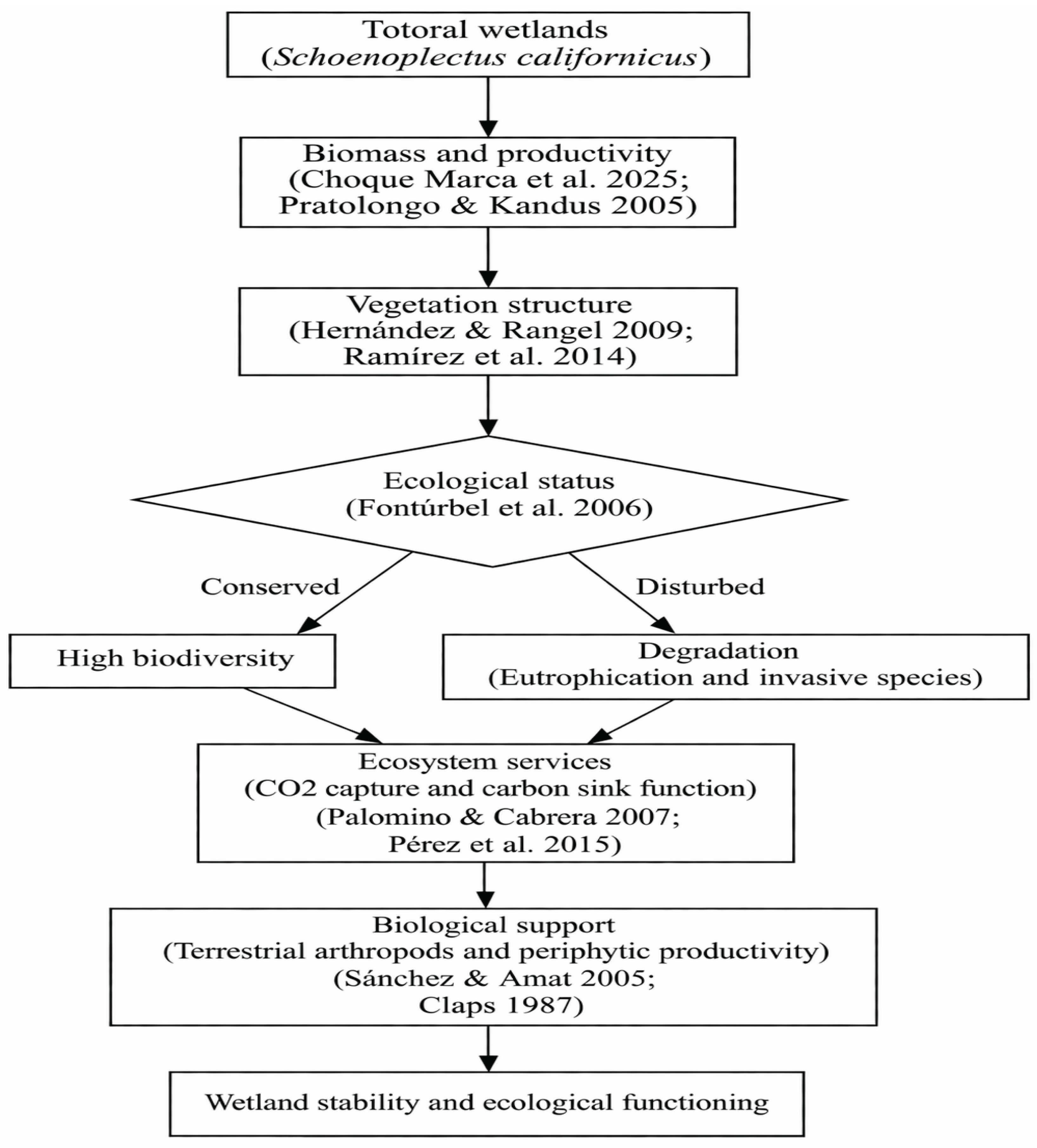 Preprints 214524 g001