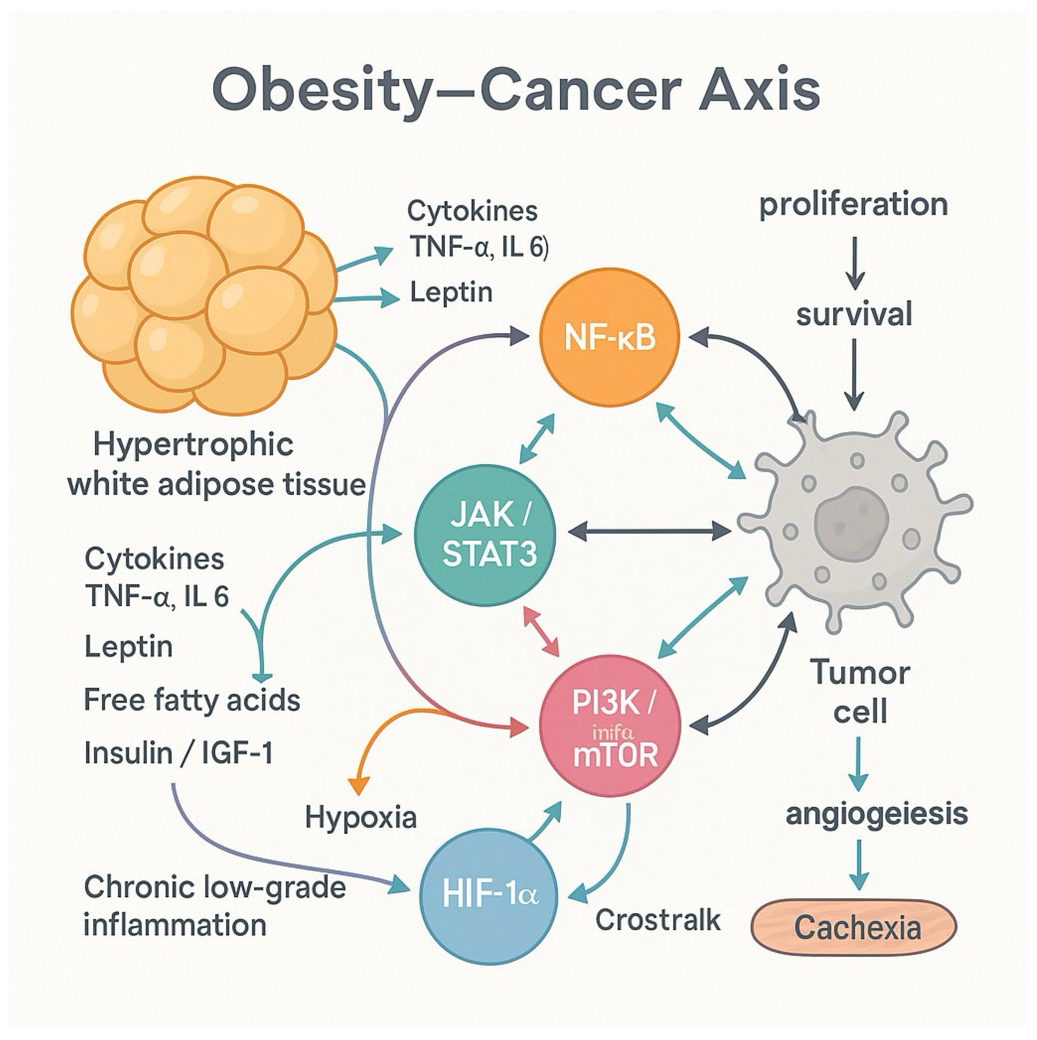 Preprints 173212 g001