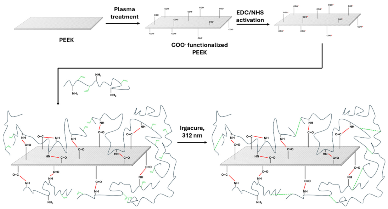 Preprints 224450 g002