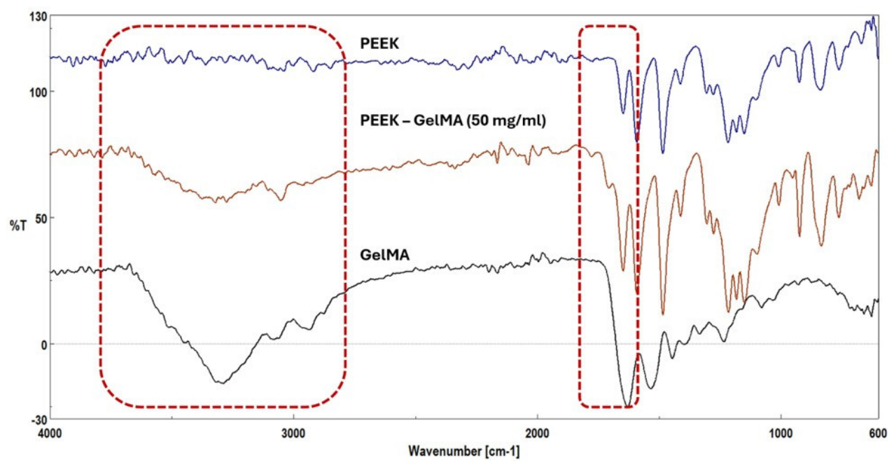 Preprints 224450 g005