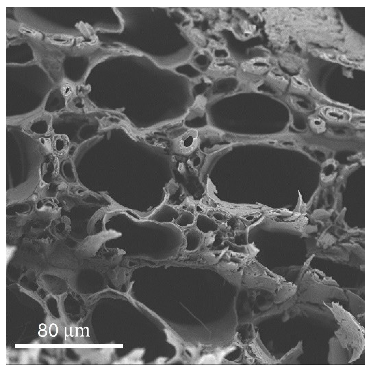 Preprints 139162 g002