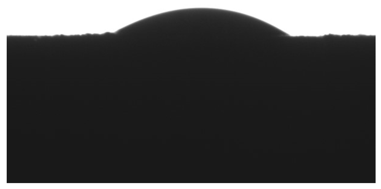 Preprints 139162 g004