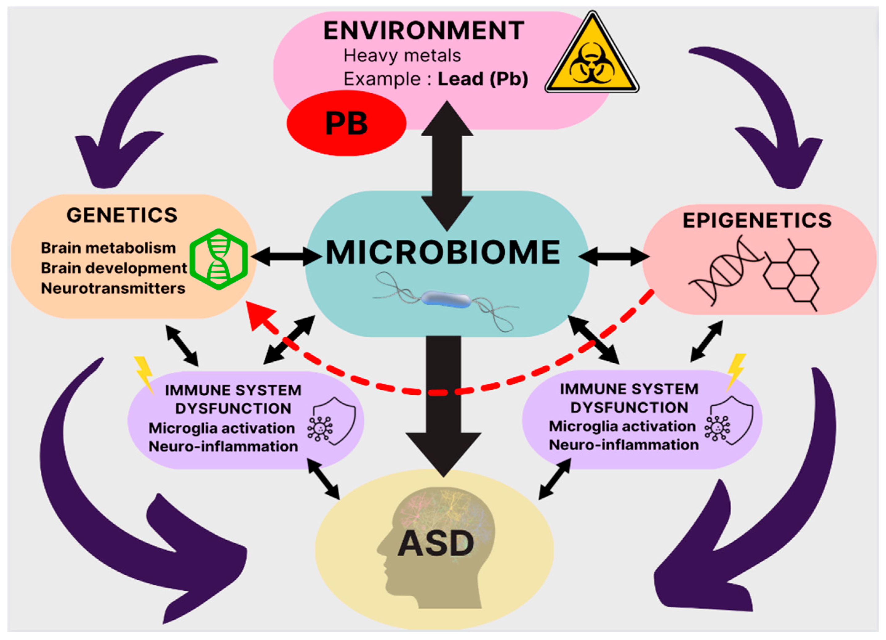 Preprints 71574 g001