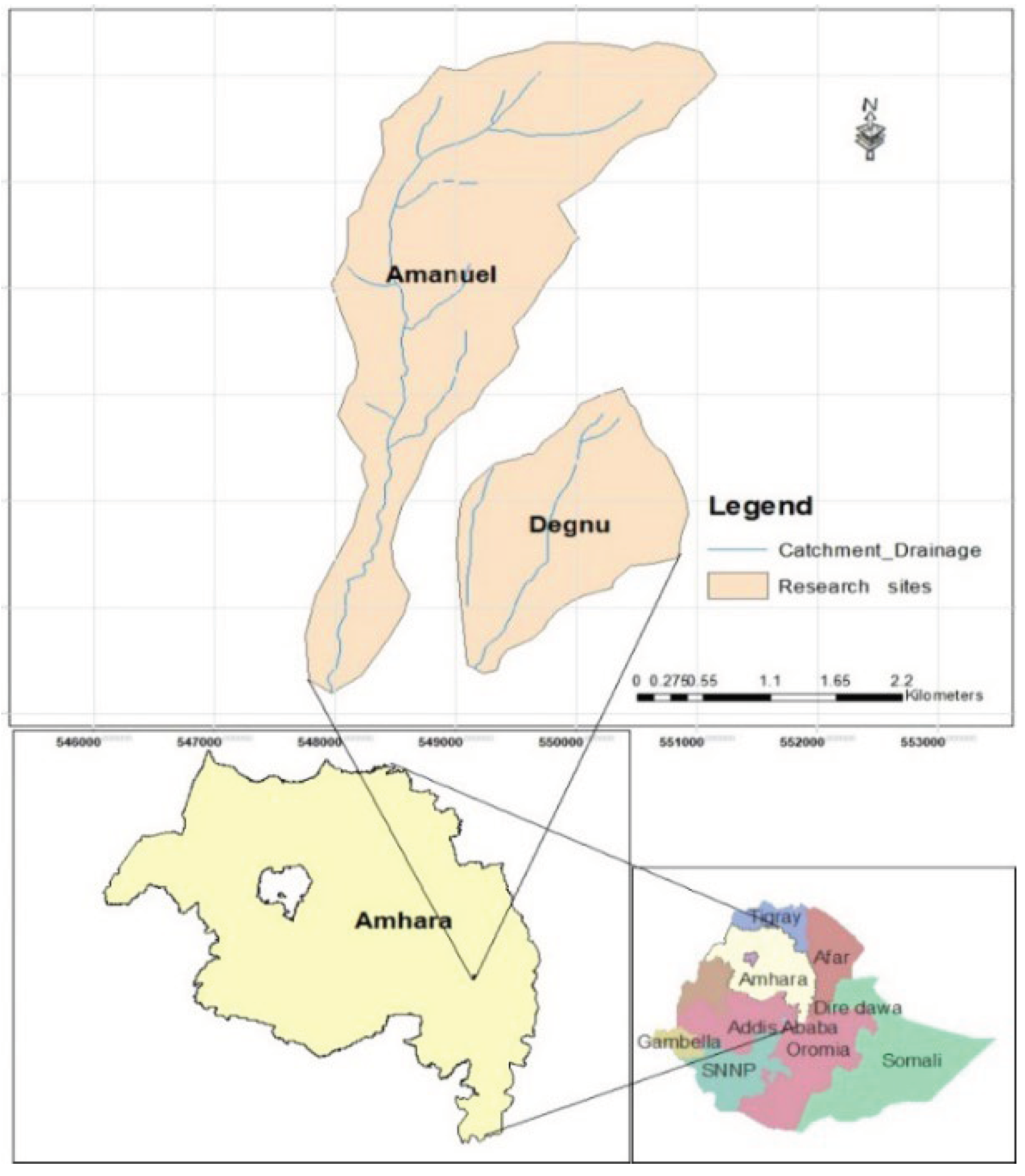 Preprints 100966 g001