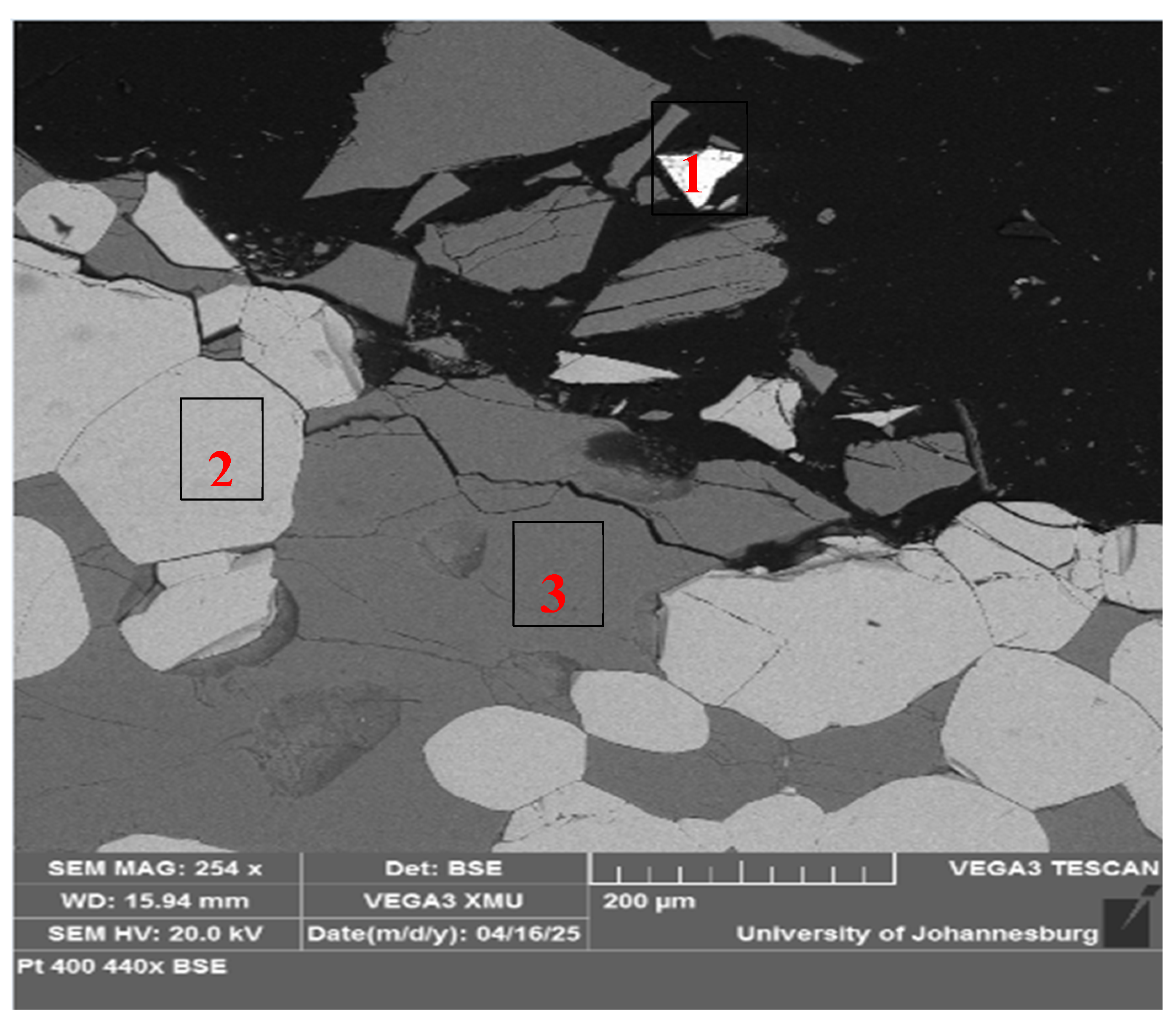 Preprints 205074 g002