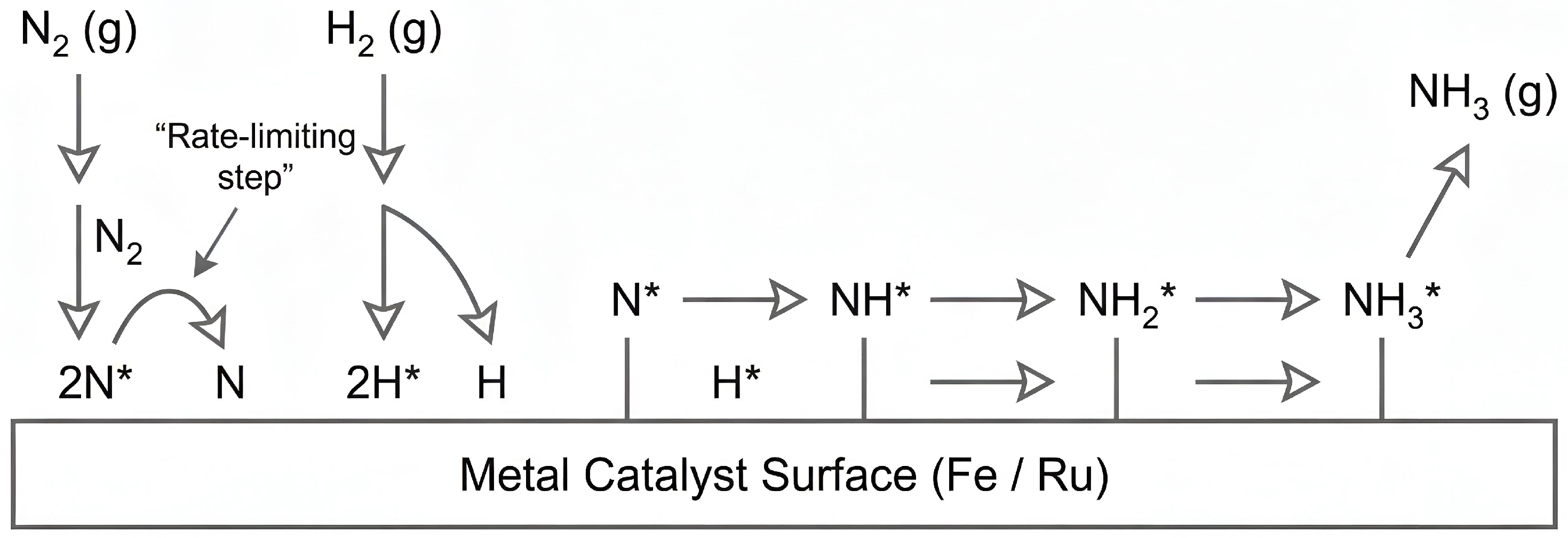Preprints 193219 g006