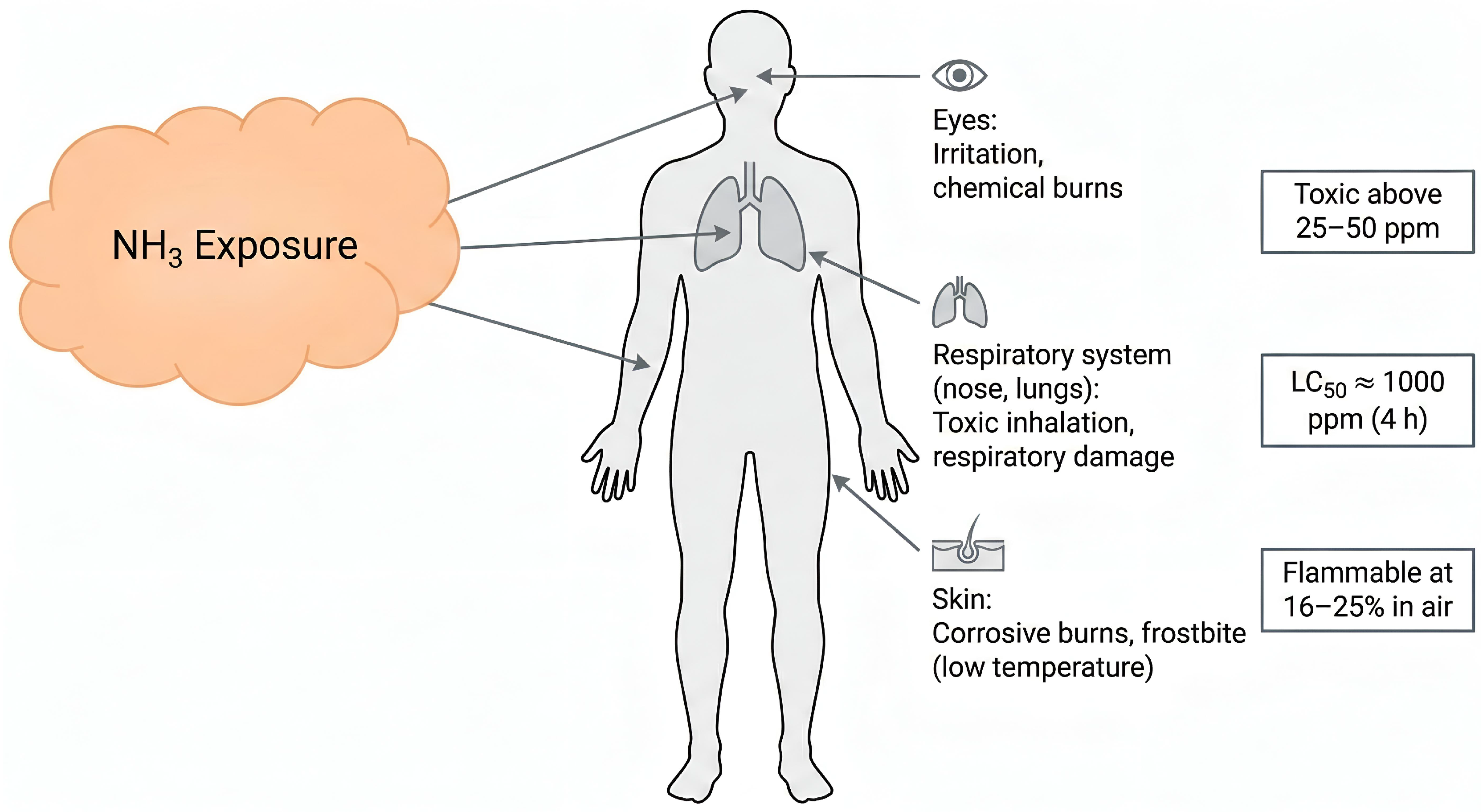 Preprints 193219 g009