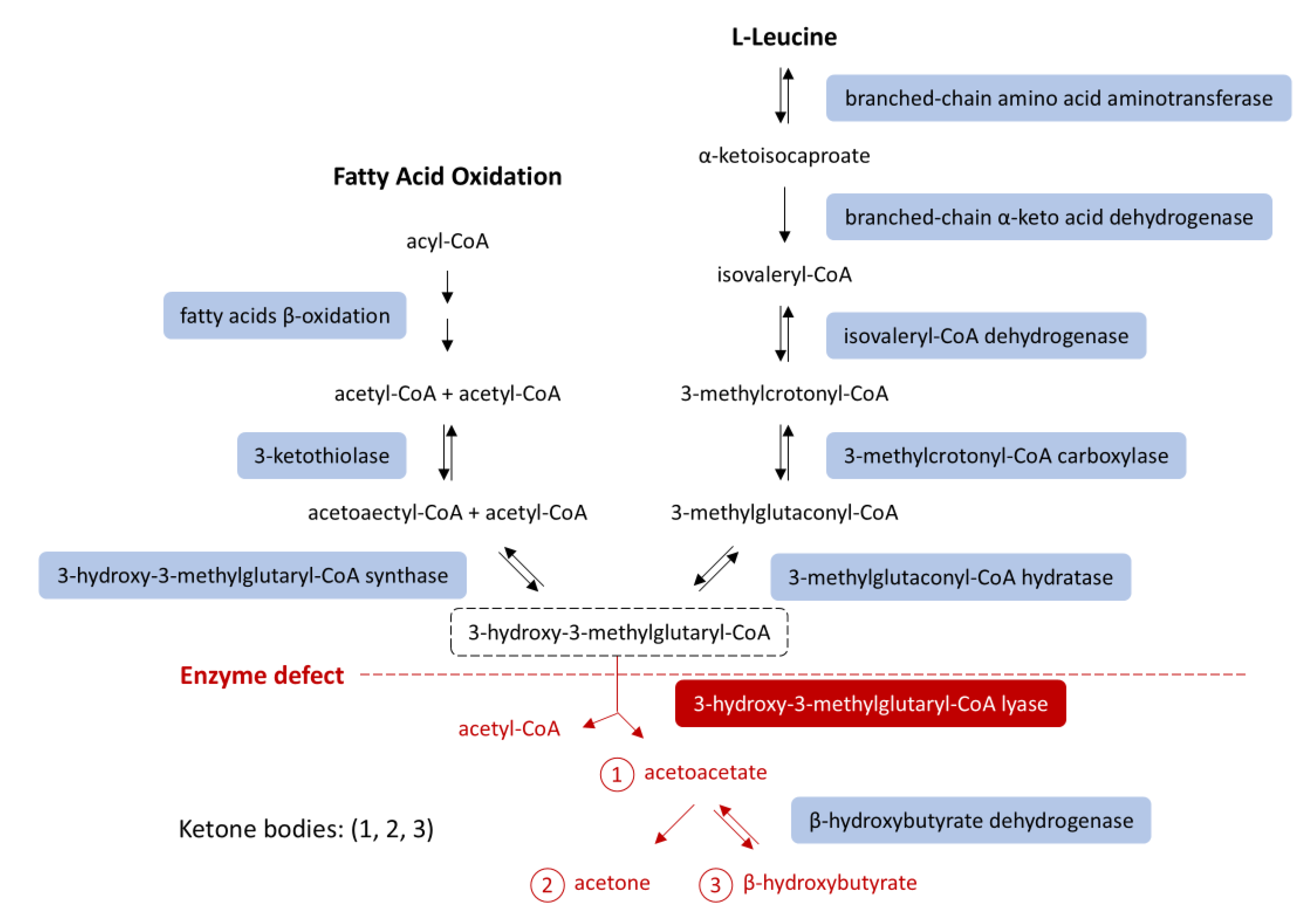 Preprints 177731 g001