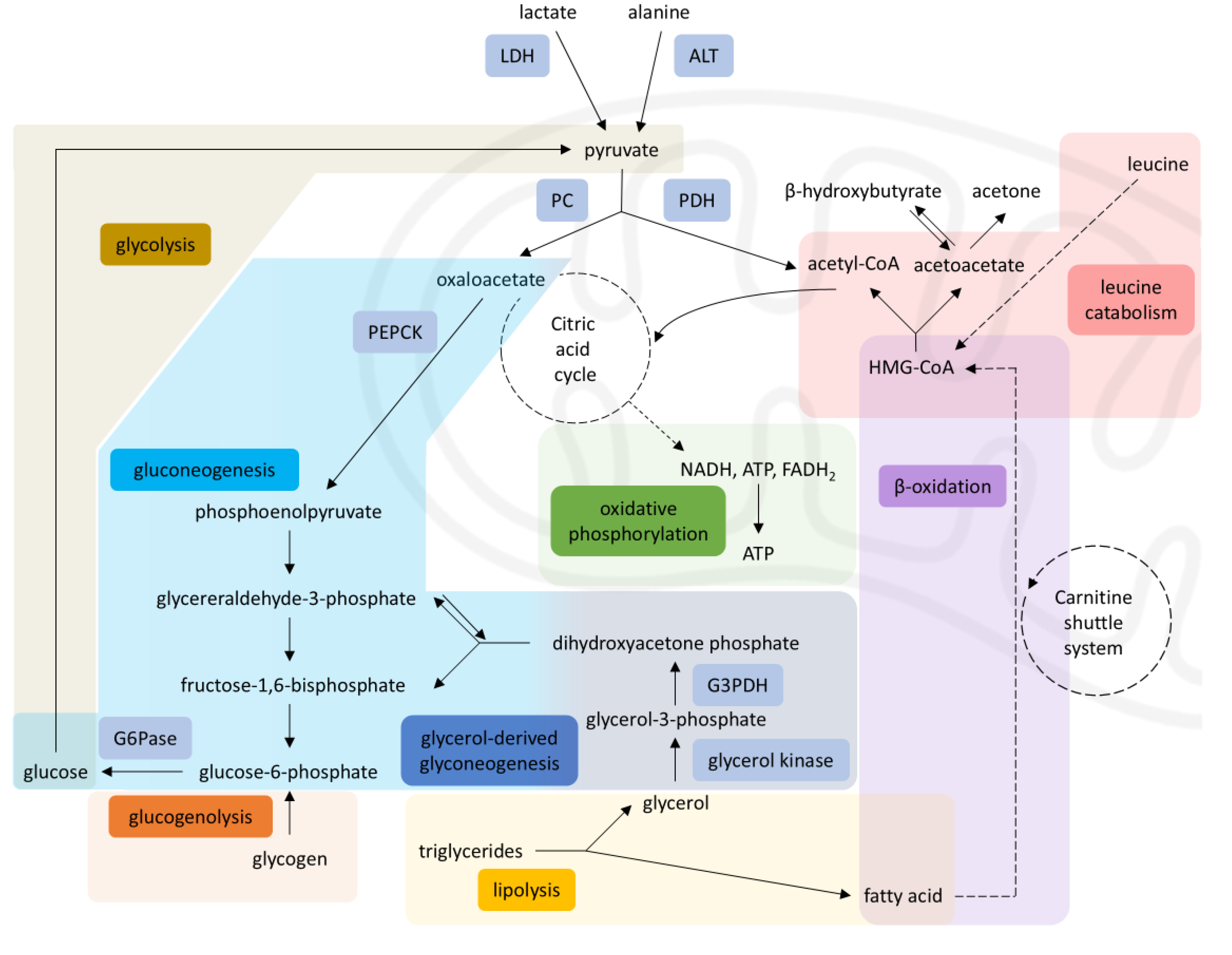 Preprints 177731 g002