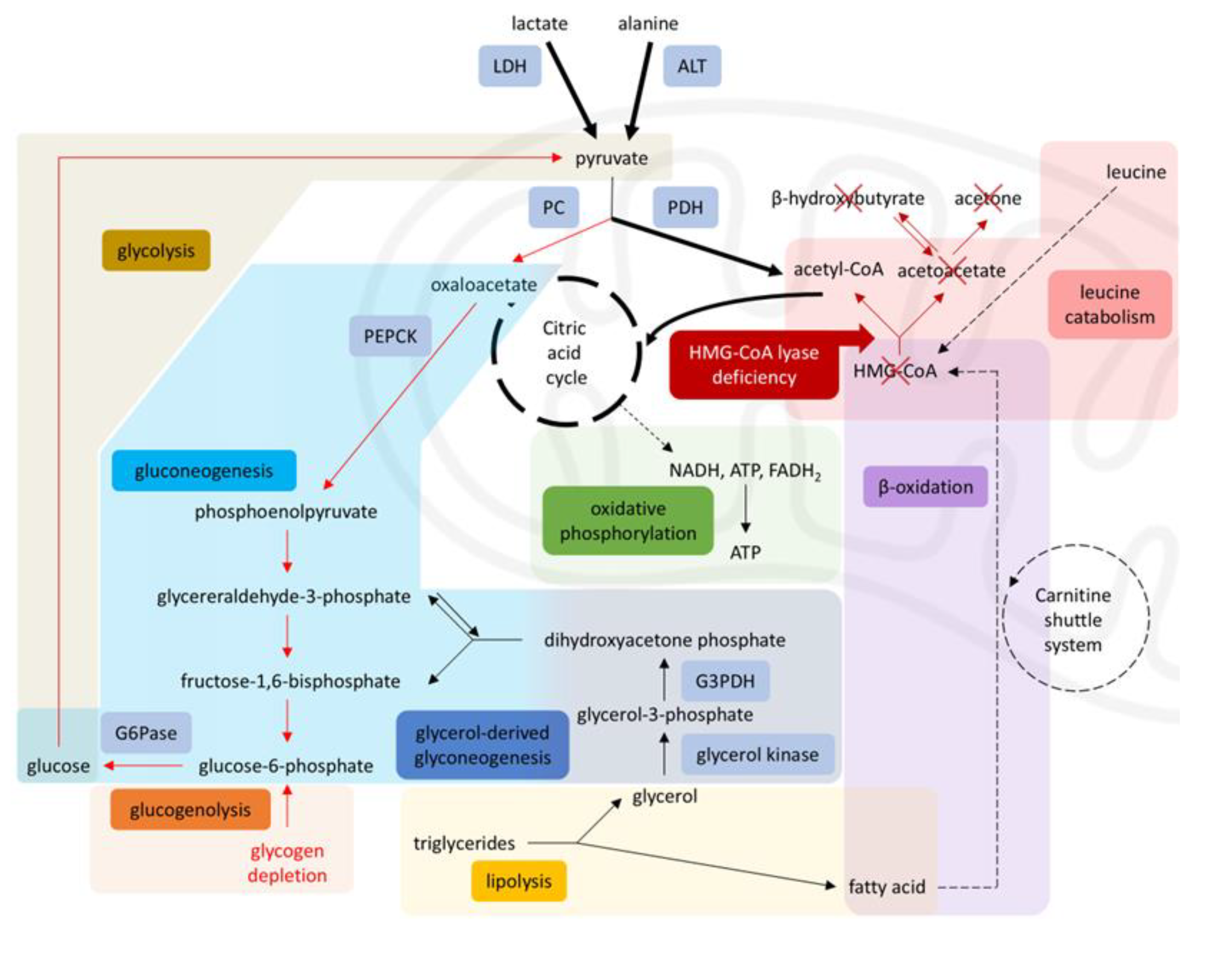 Preprints 177731 g003