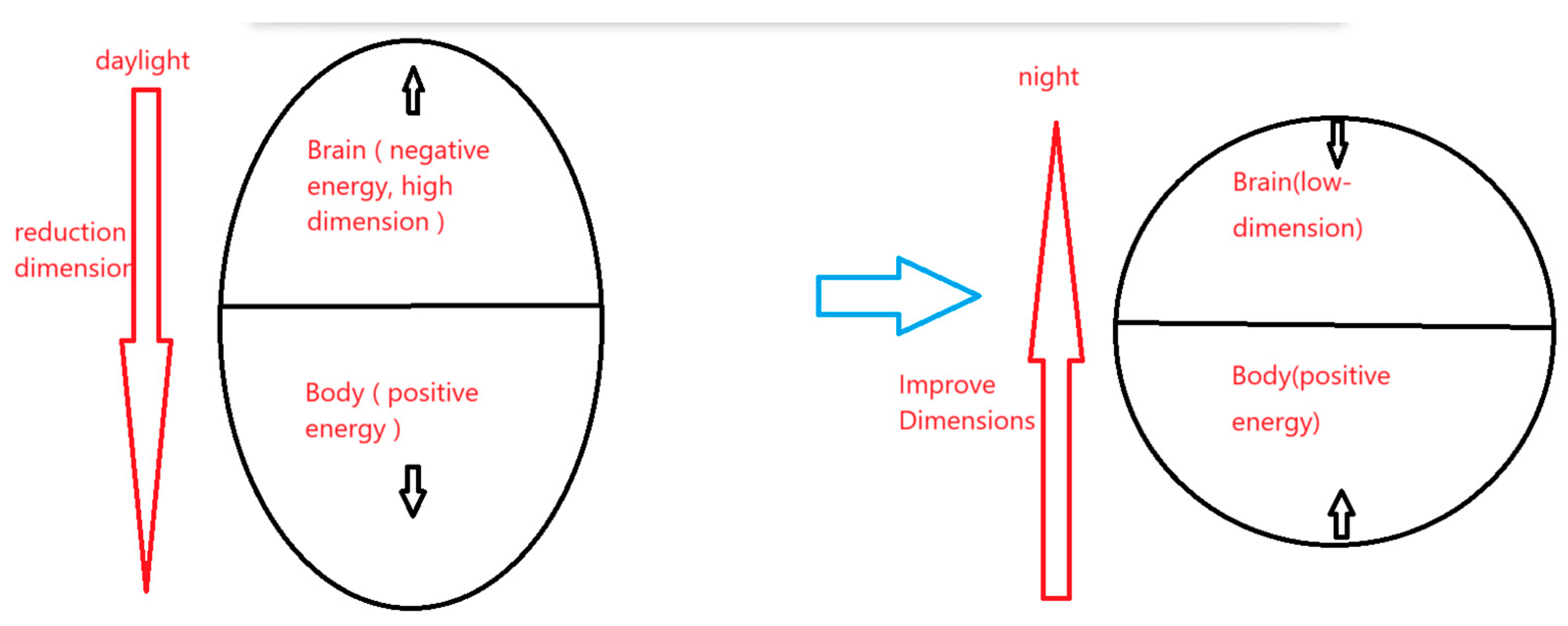 Preprints 171768 i001