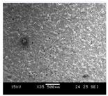 Preprints 156773 i016