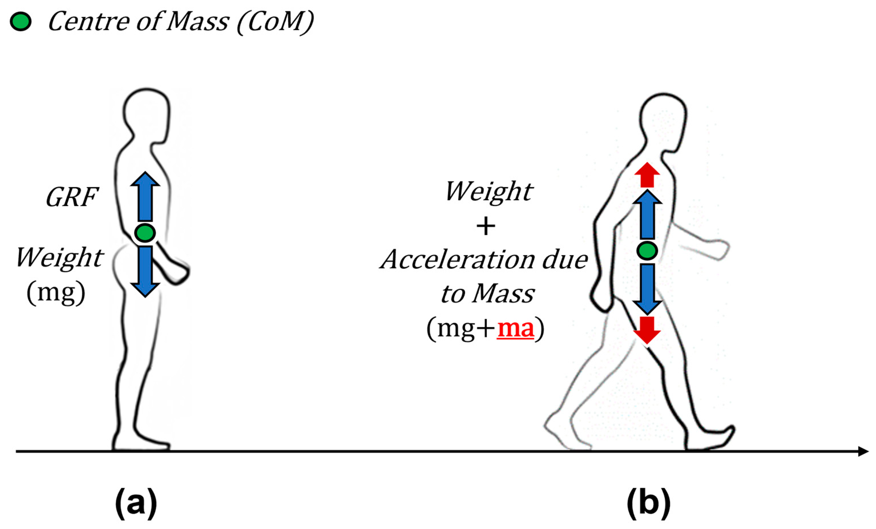 Preprints 140320 g001