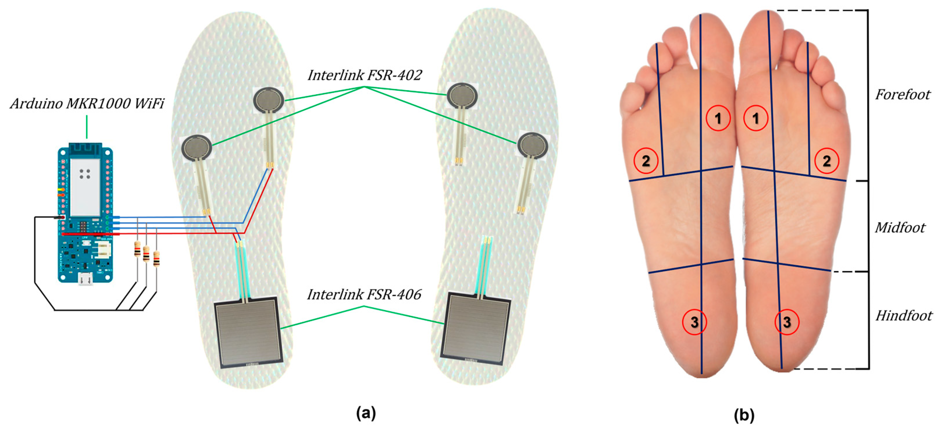 Preprints 140320 g002