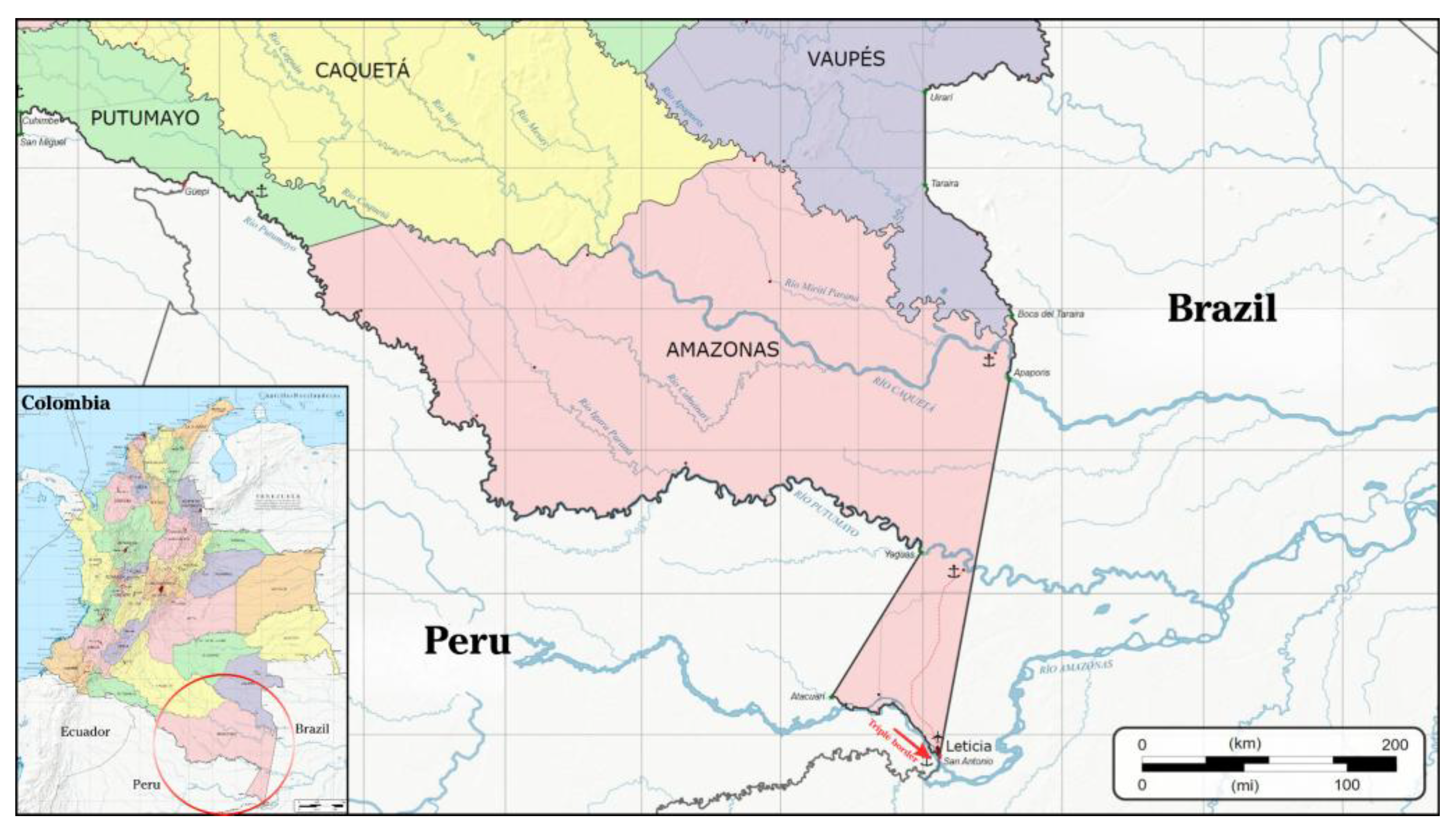 Preprints 197920 g001