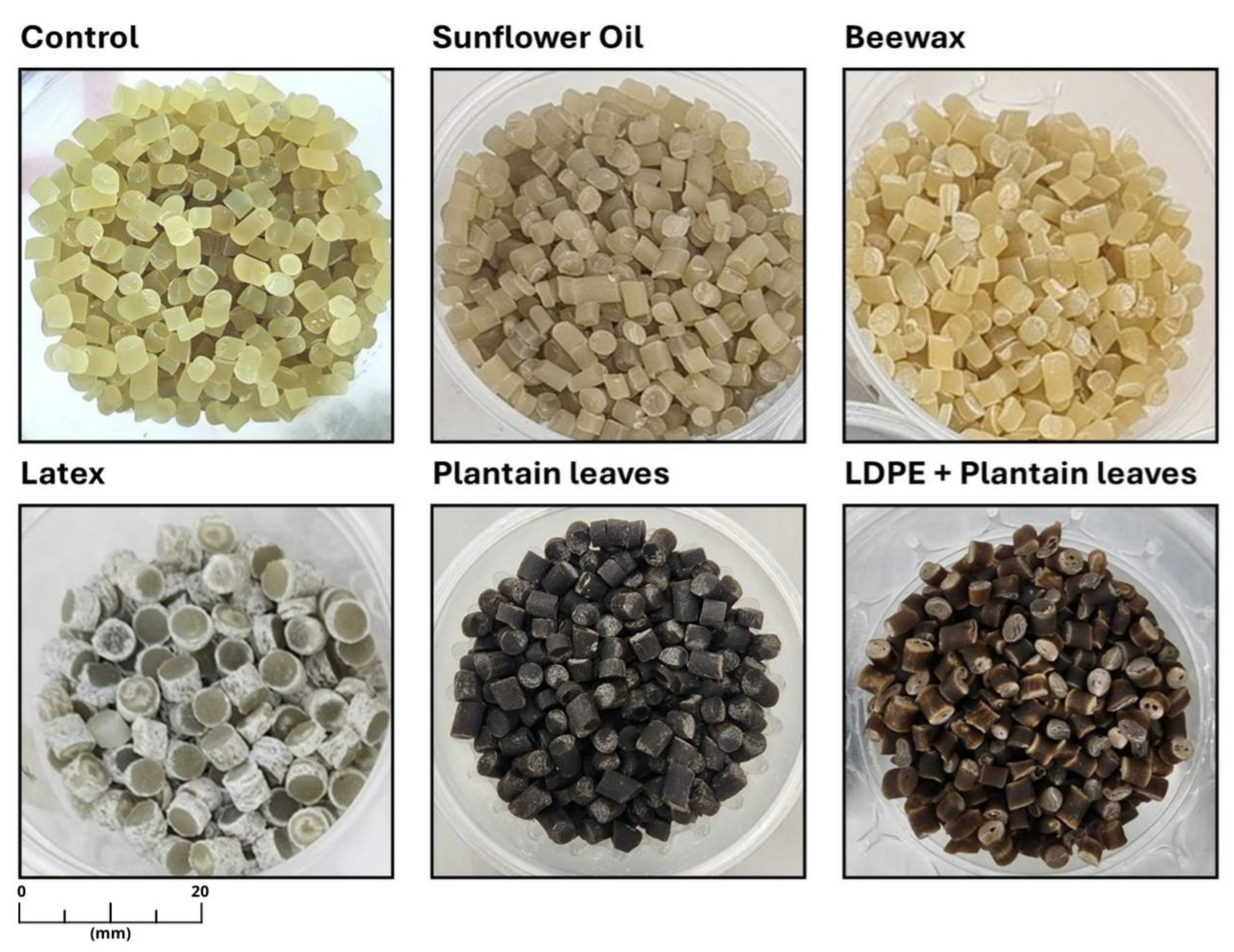 Preprints 197920 g004