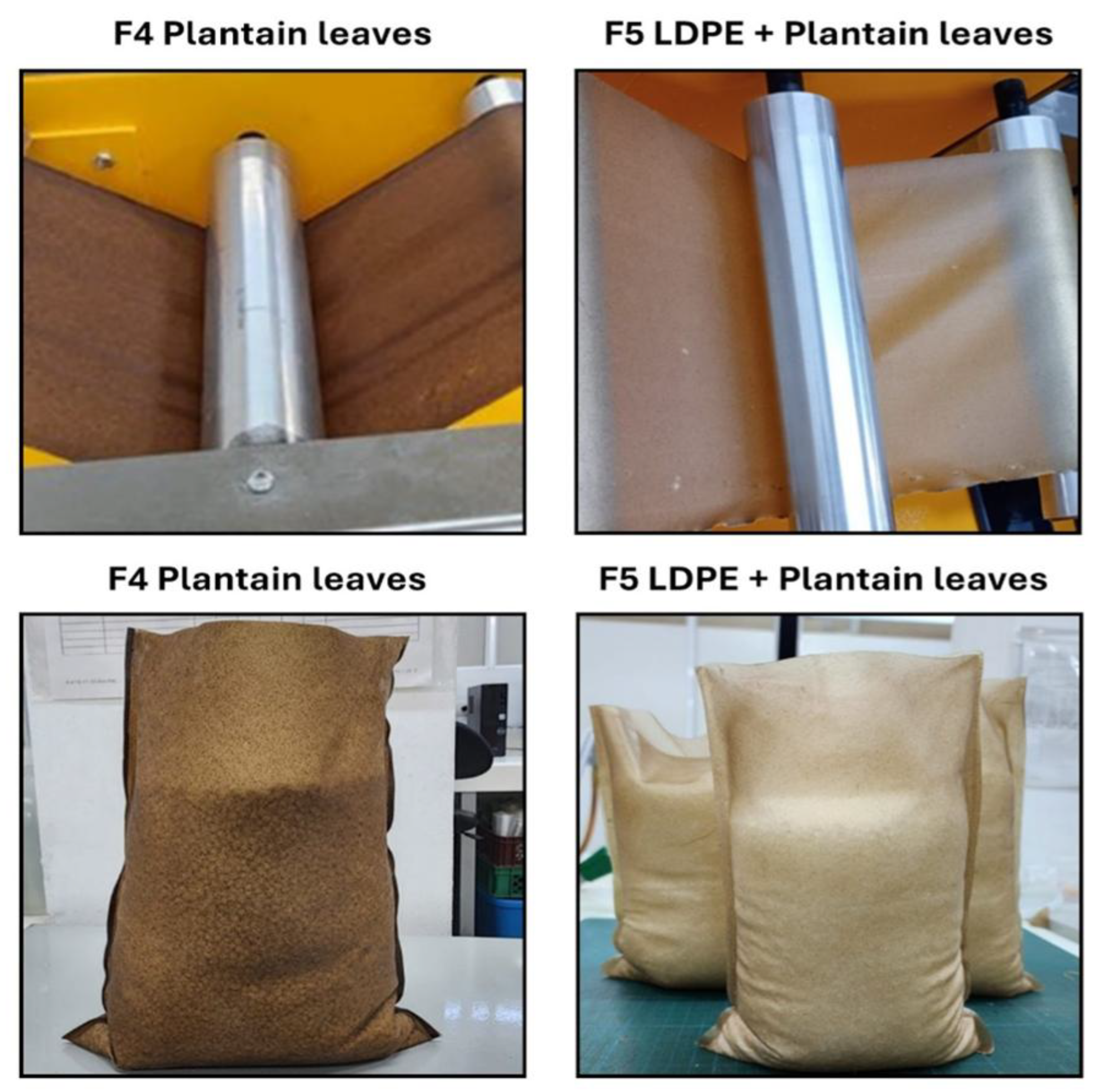 Preprints 197920 g005