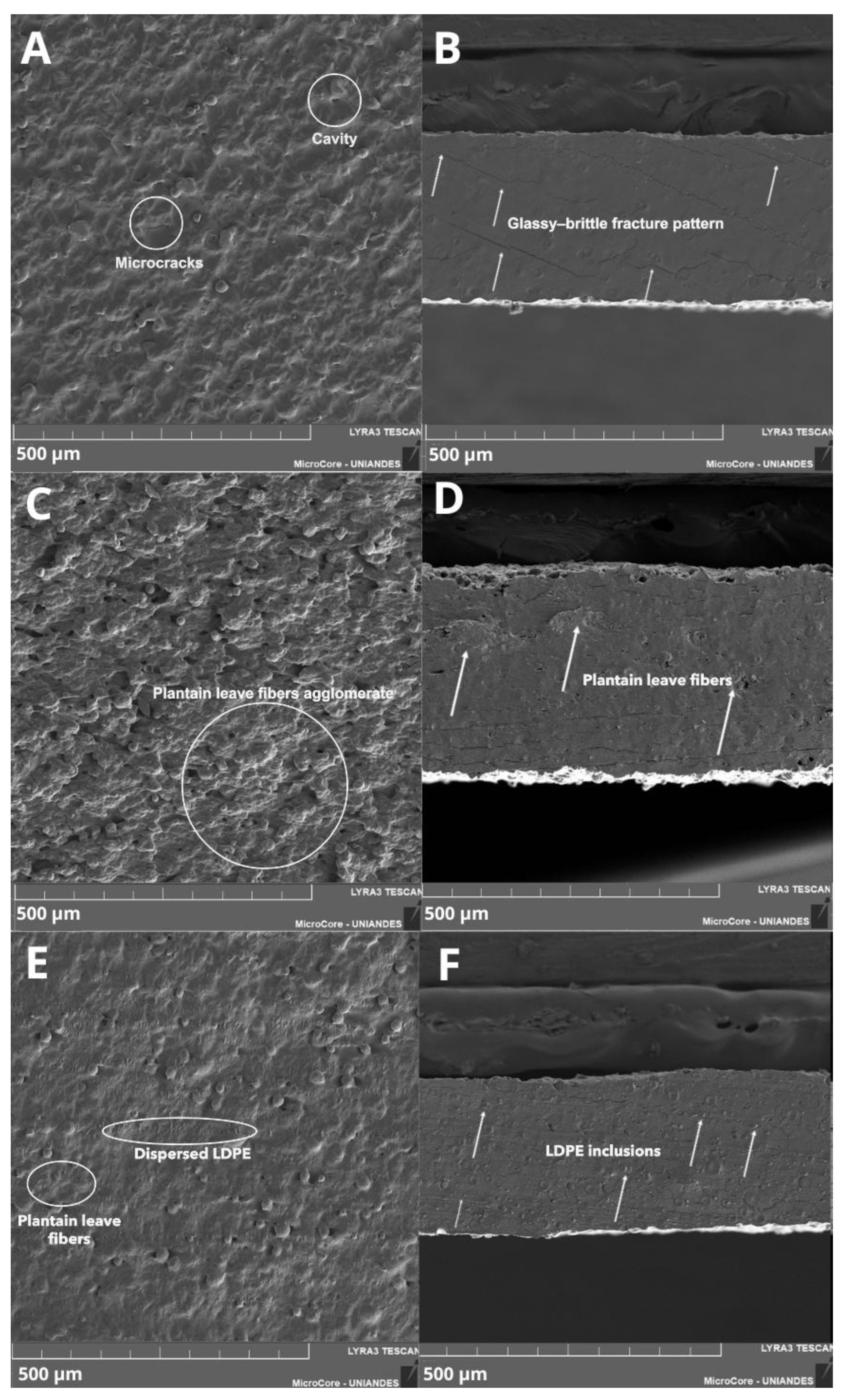 Preprints 197920 g007