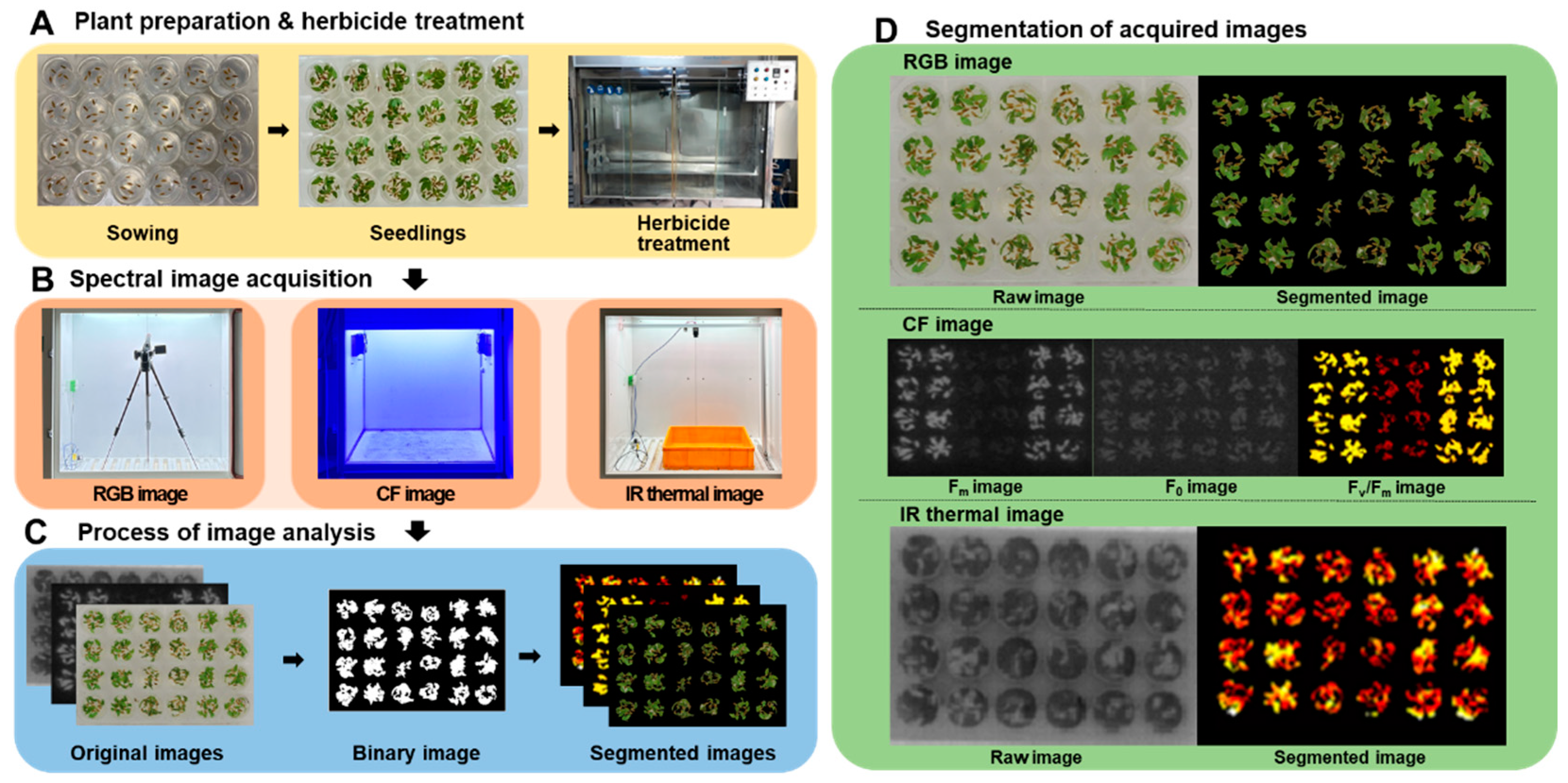 Preprints 95455 g001