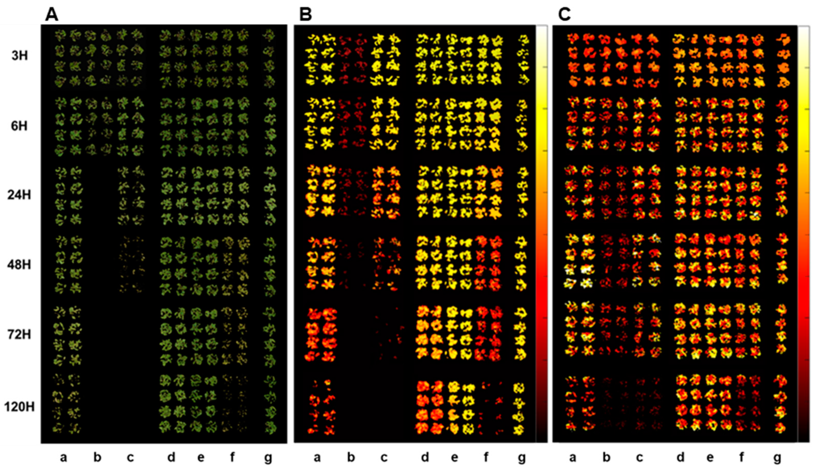 Preprints 95455 g002