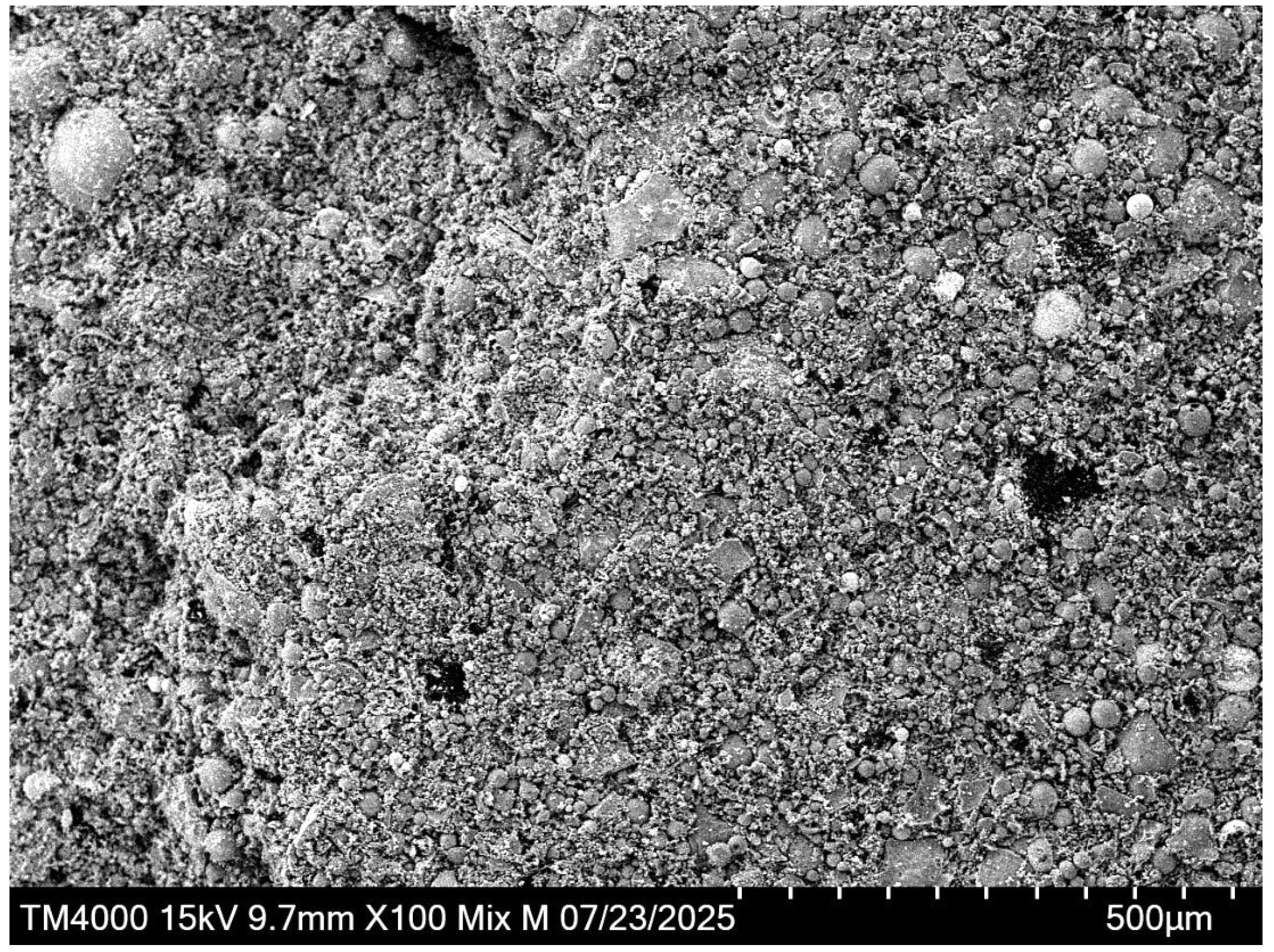 Preprints 208648 g004