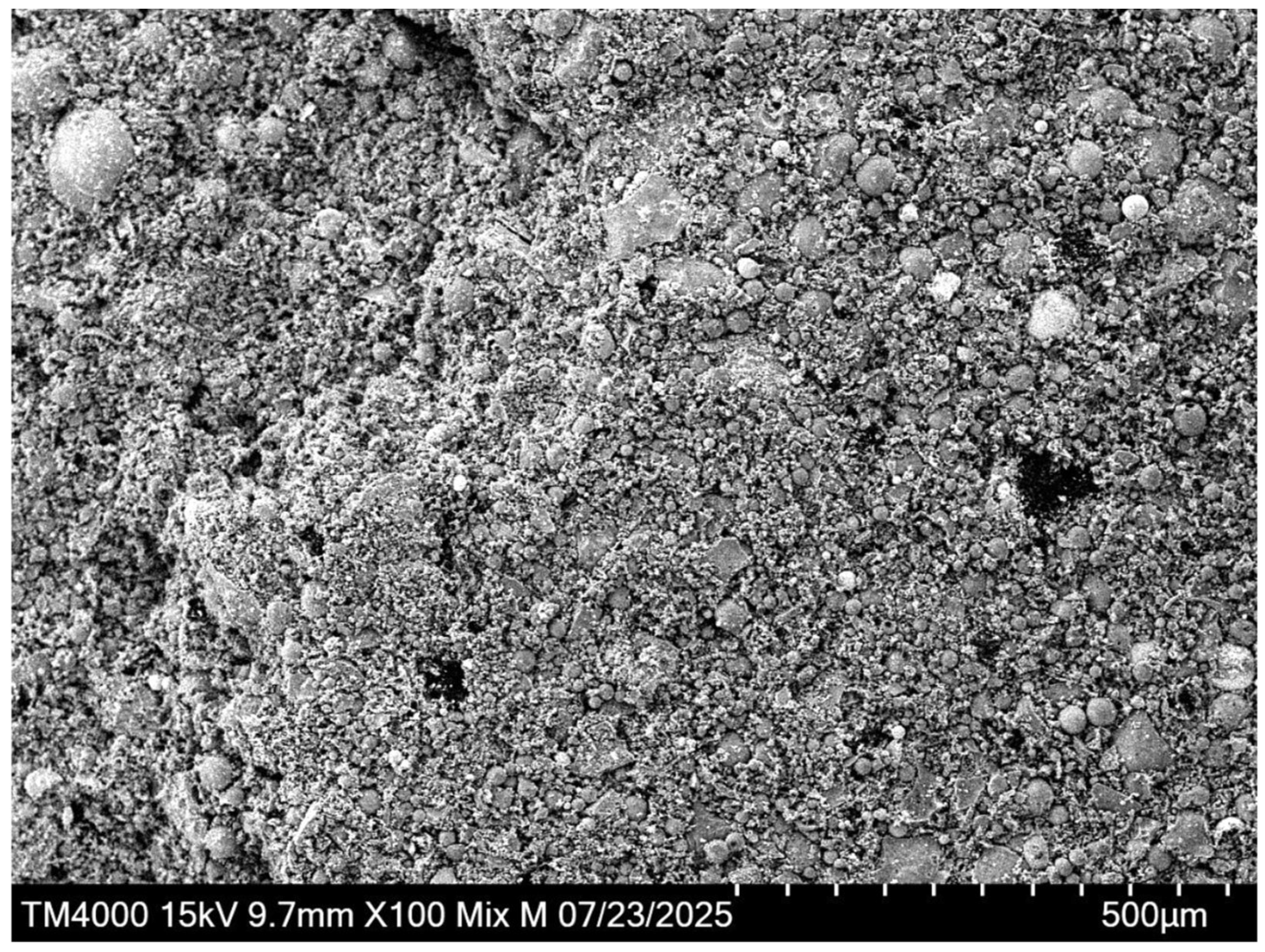 Preprints 208648 g005