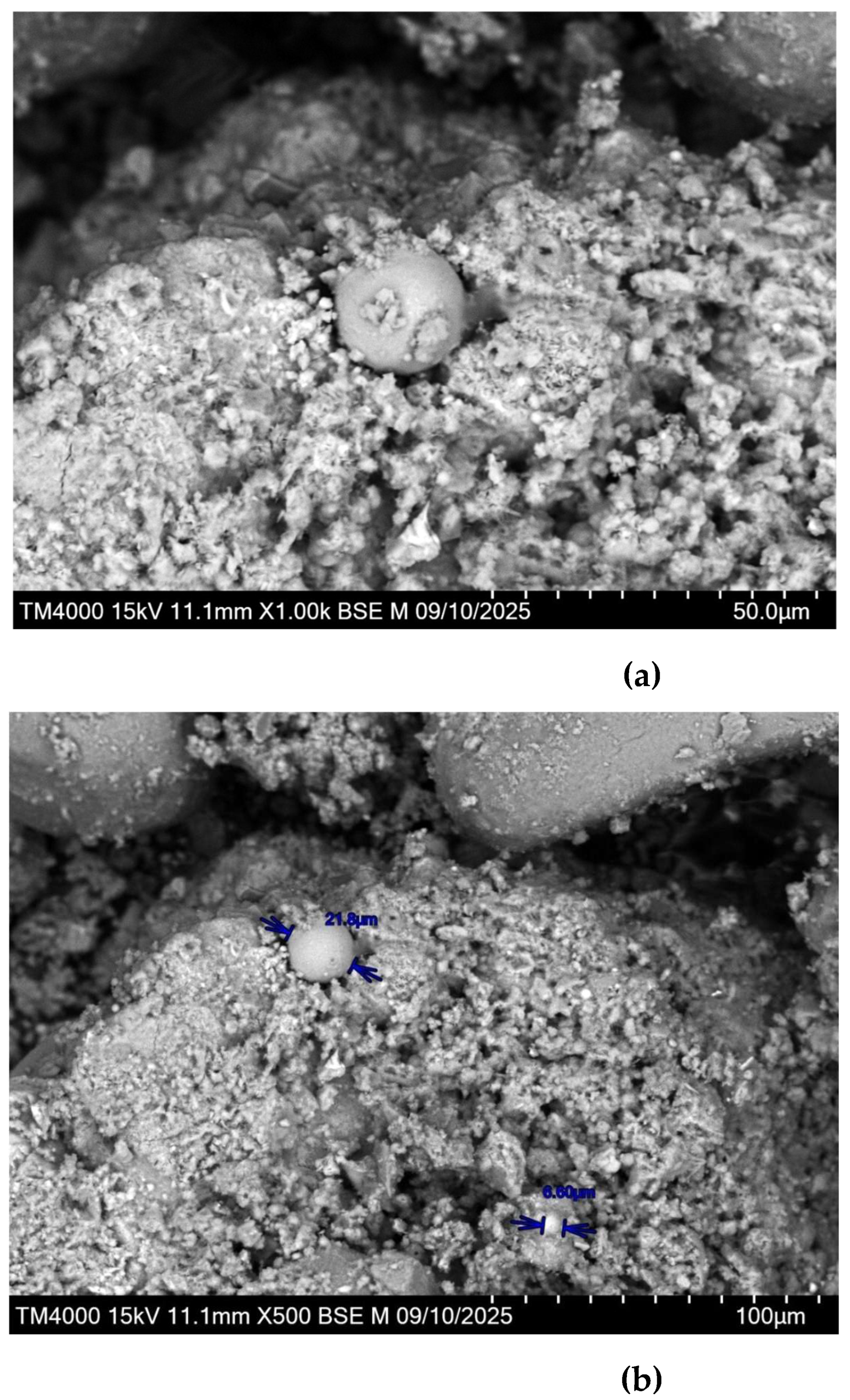Preprints 208648 g006