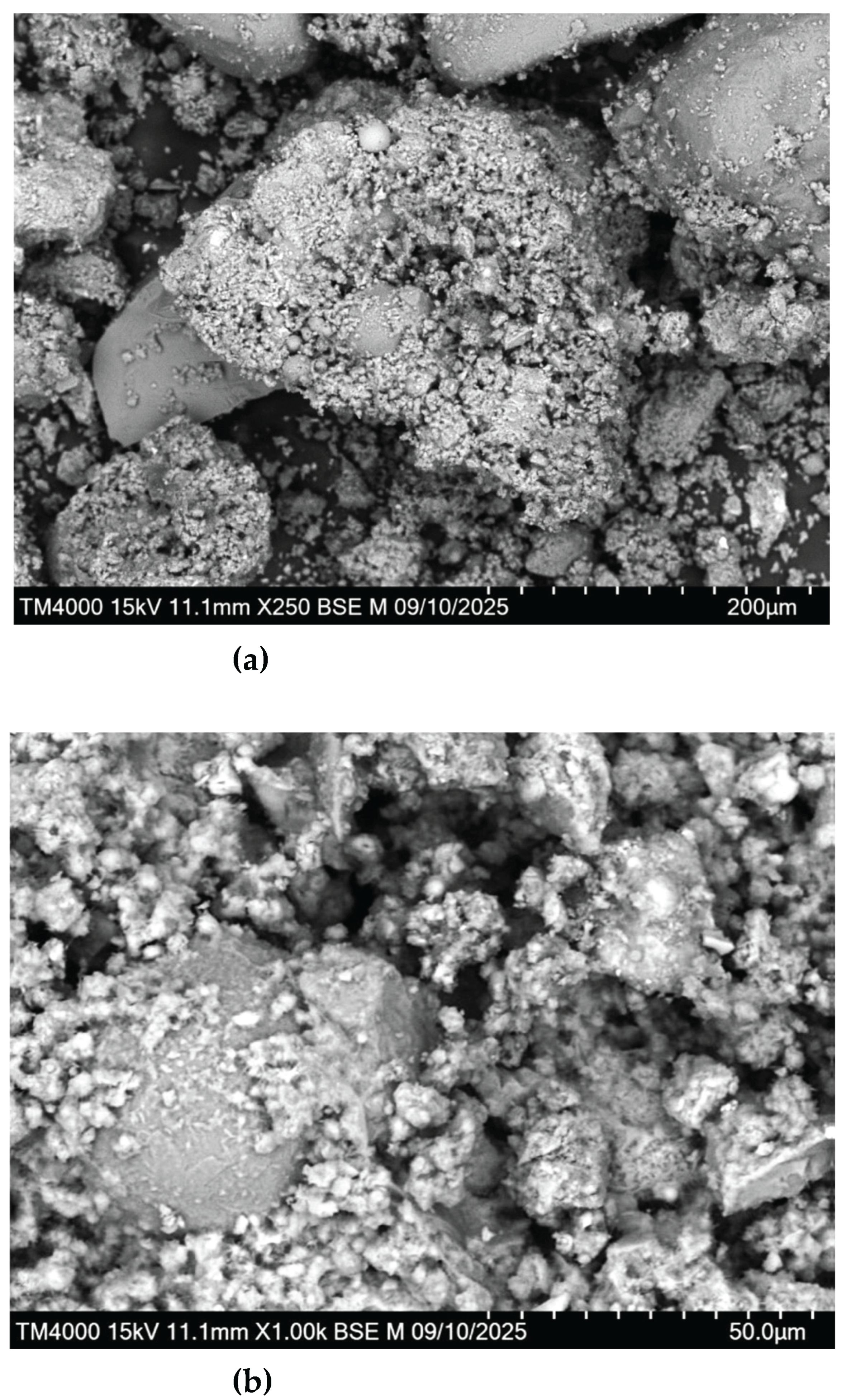 Preprints 208648 g007