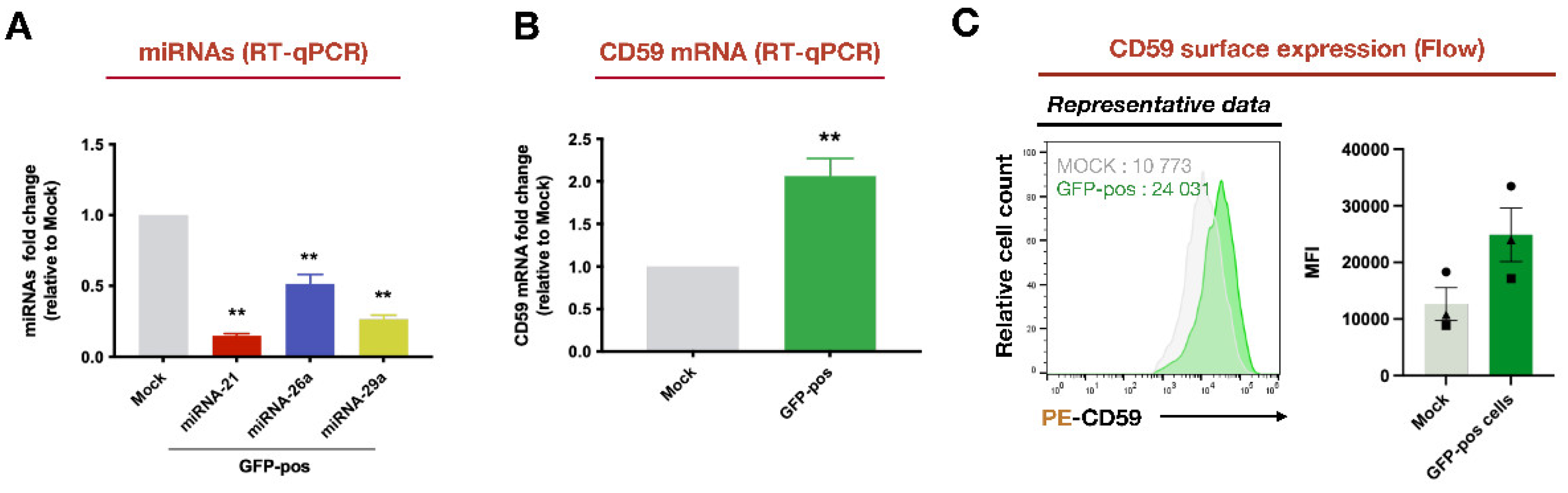 Preprints 108373 g003