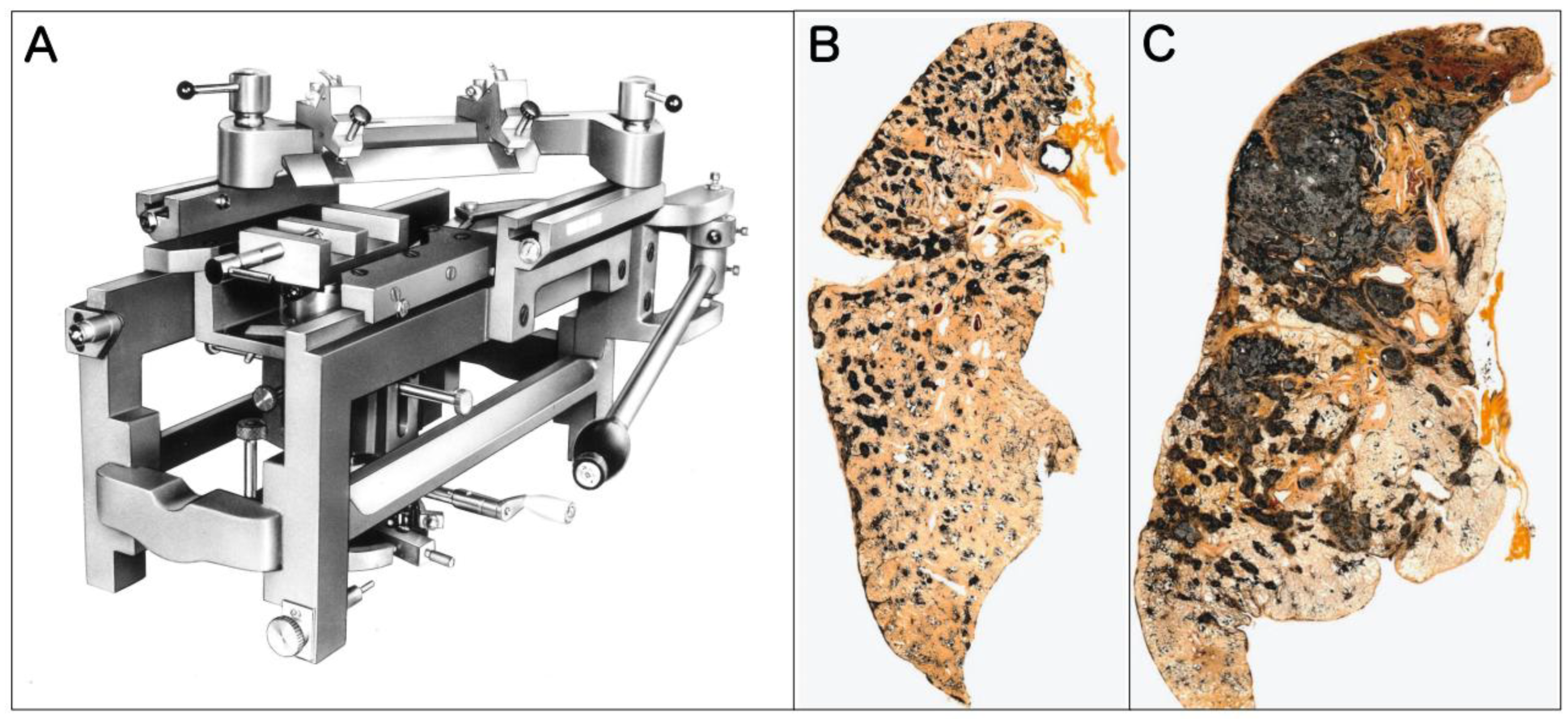 Preprints 195136 g001