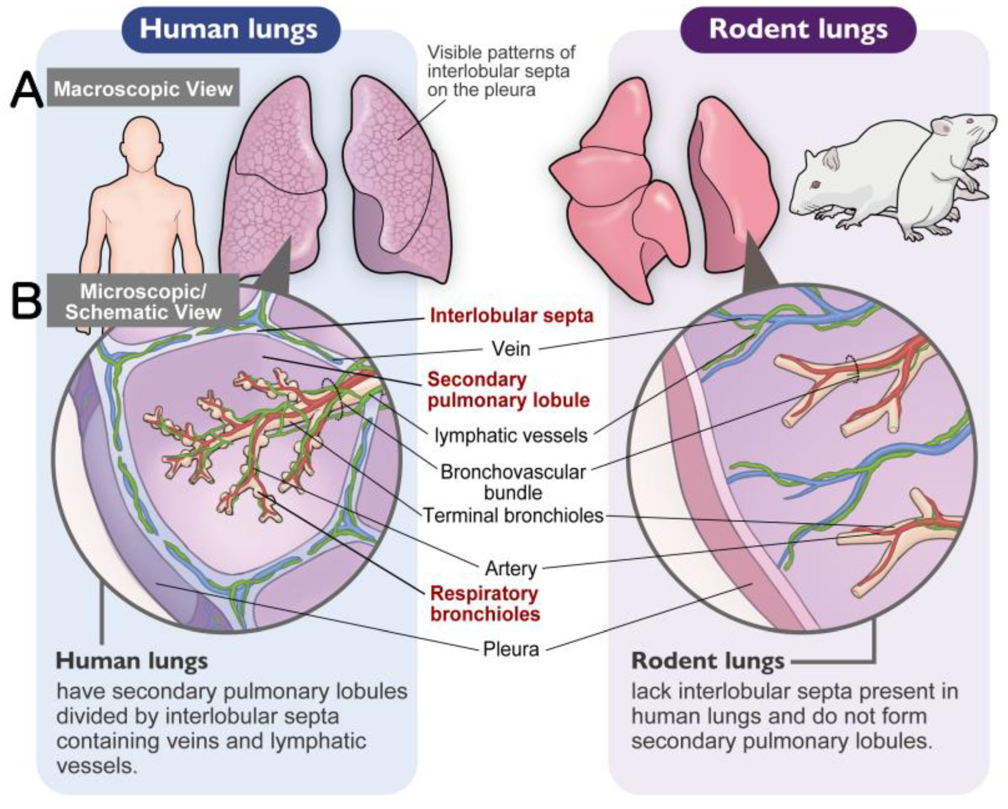 Preprints 195136 g002