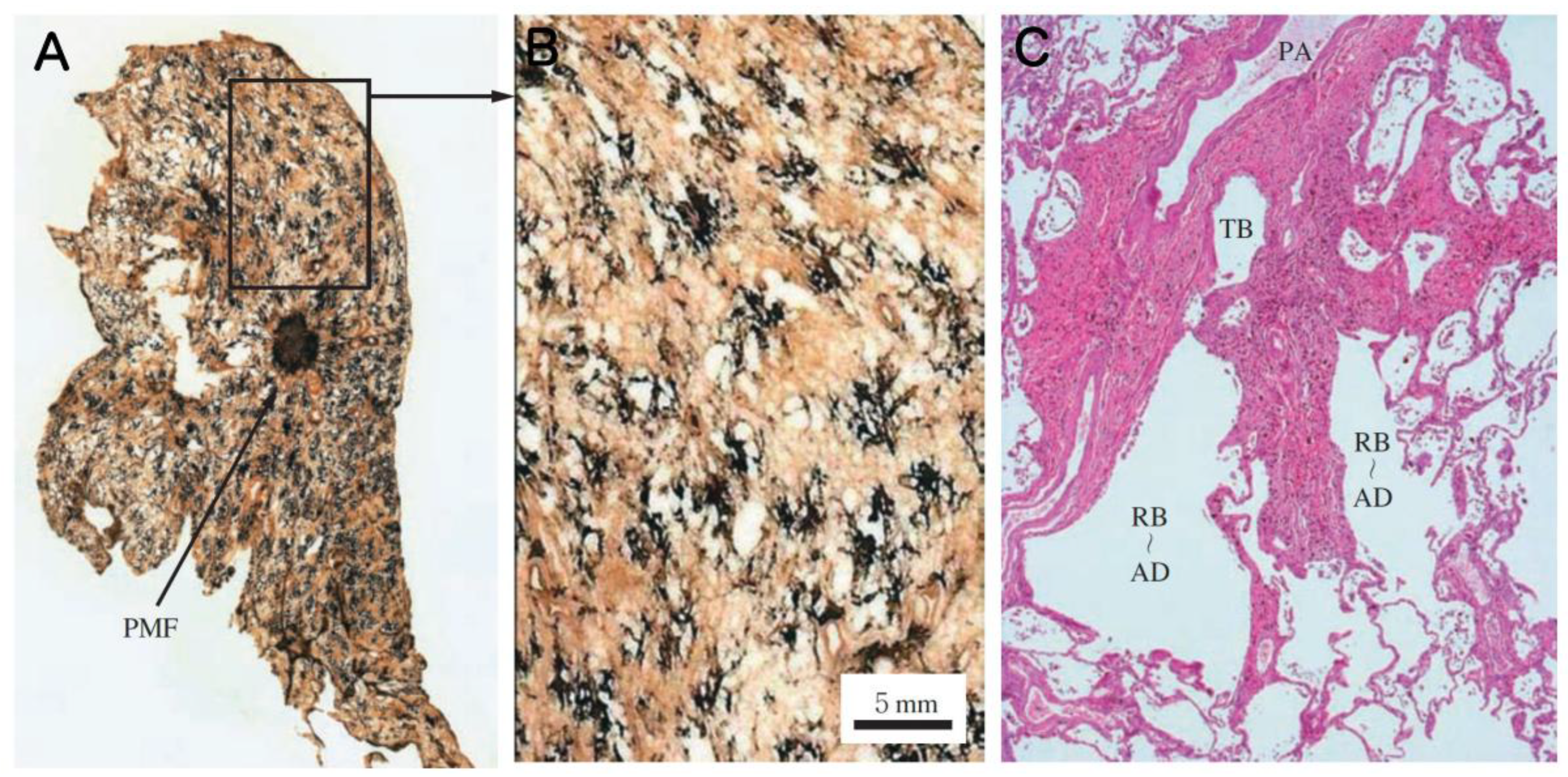 Preprints 195136 g003