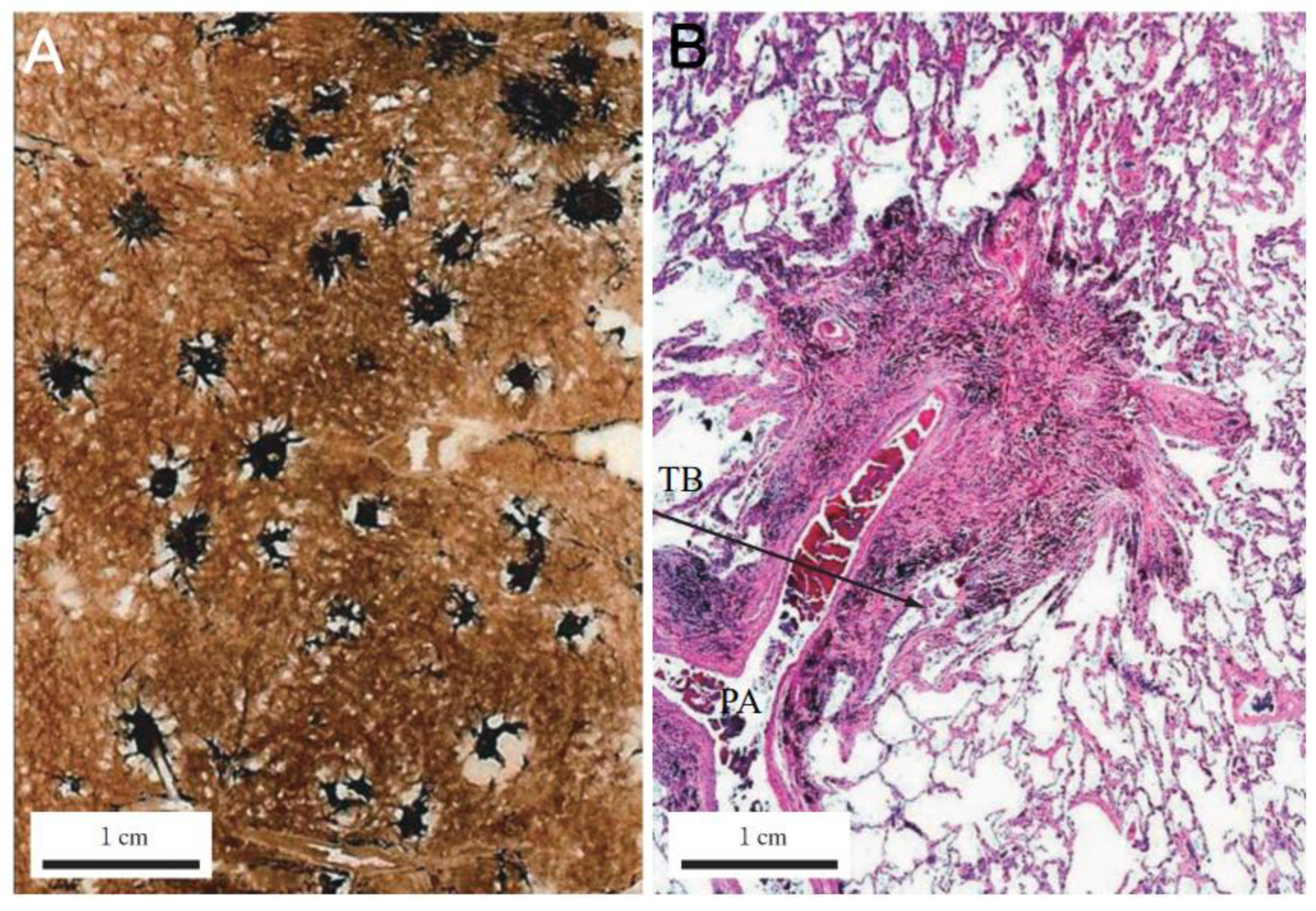 Preprints 195136 g004