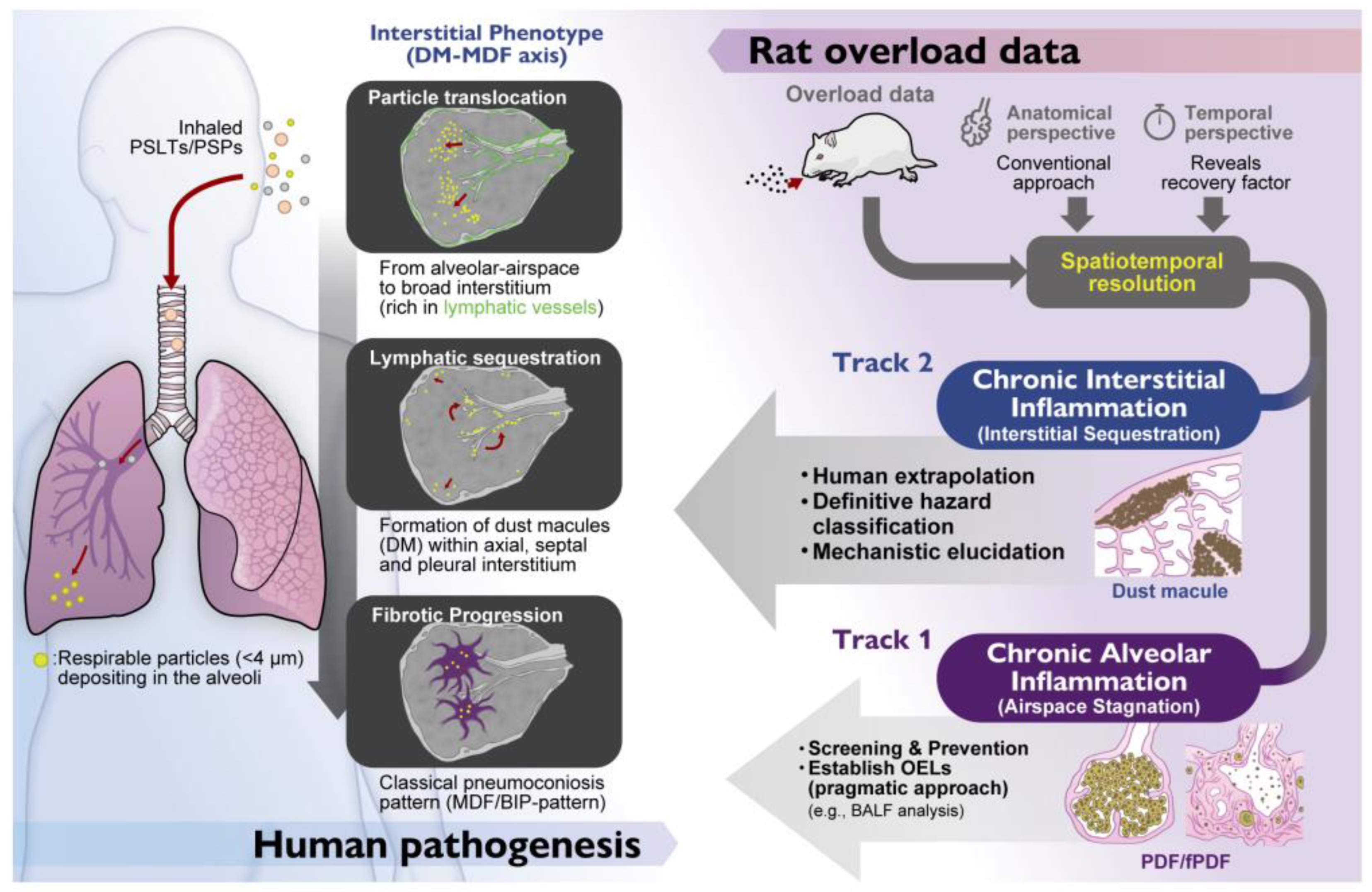 Preprints 195136 g006