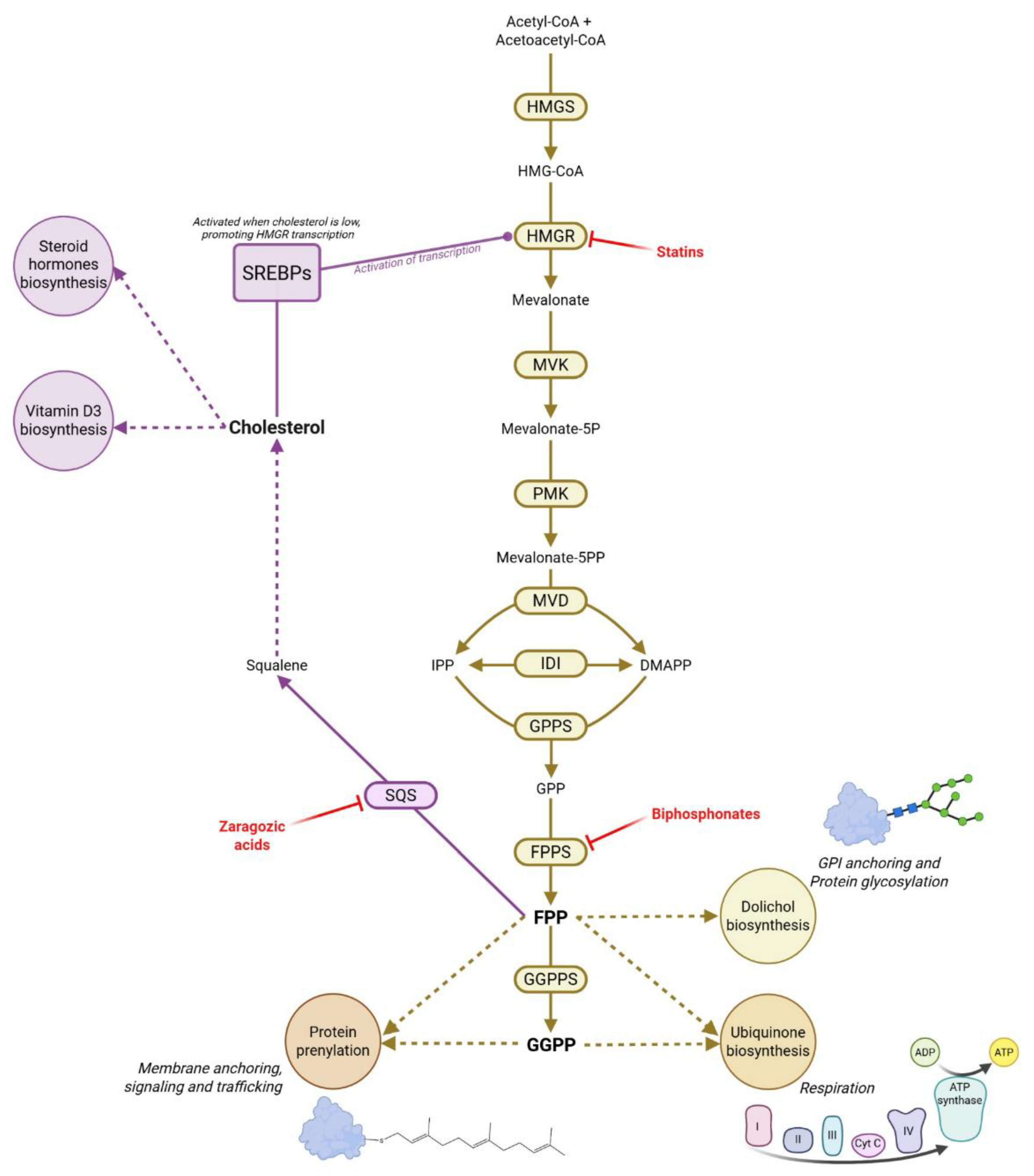 Preprints 185727 g001