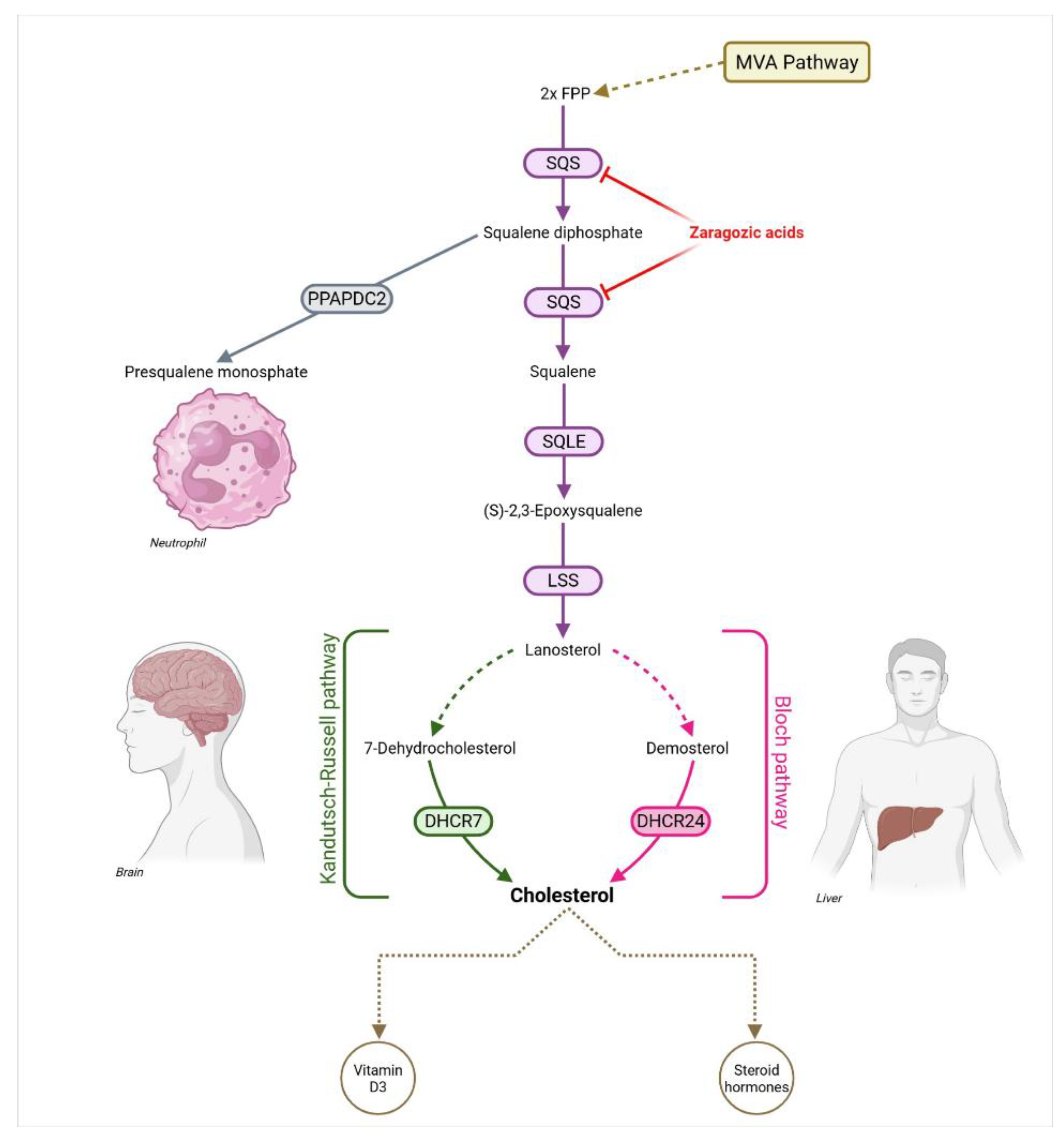 Preprints 185727 g002