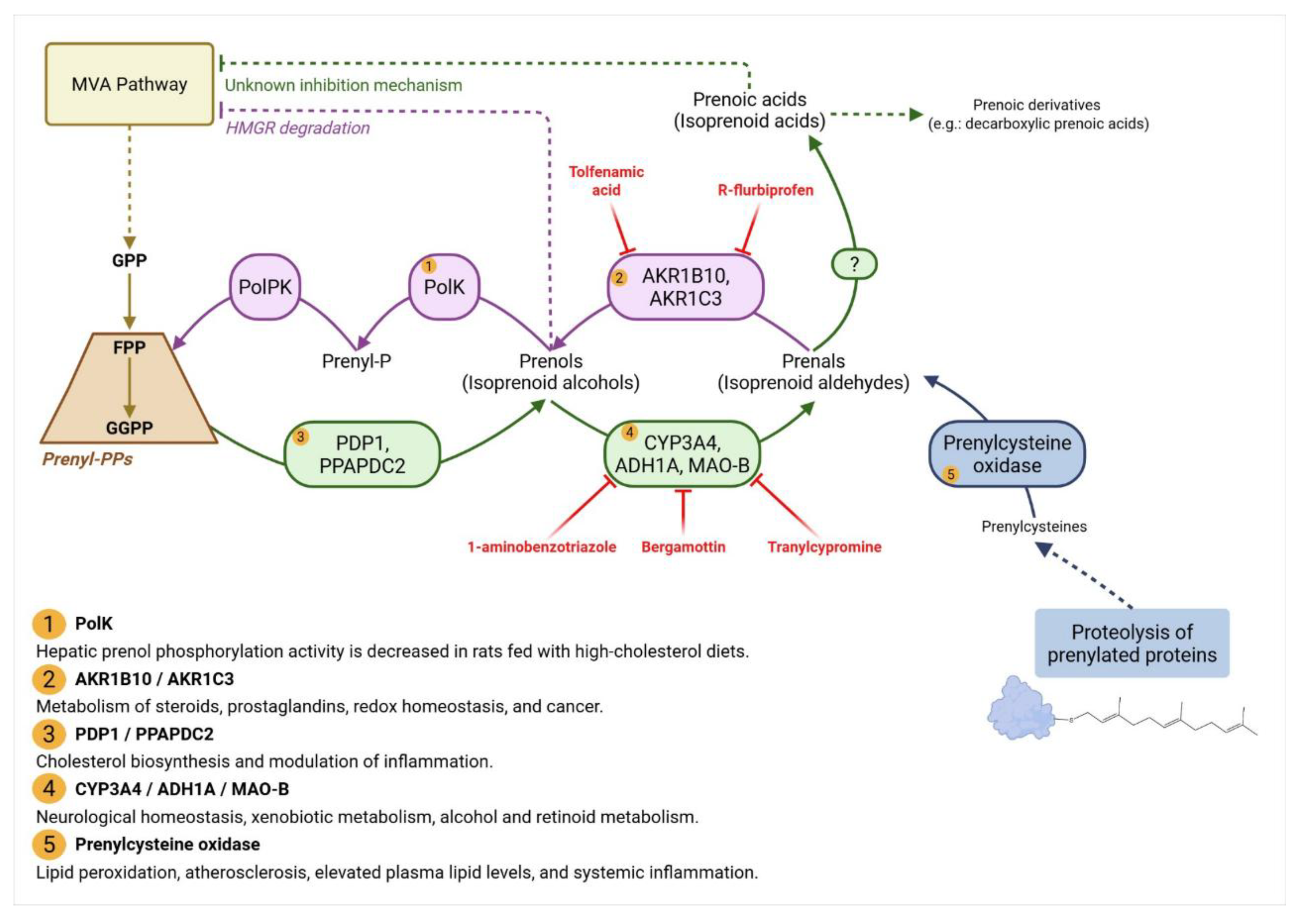 Preprints 185727 g004
