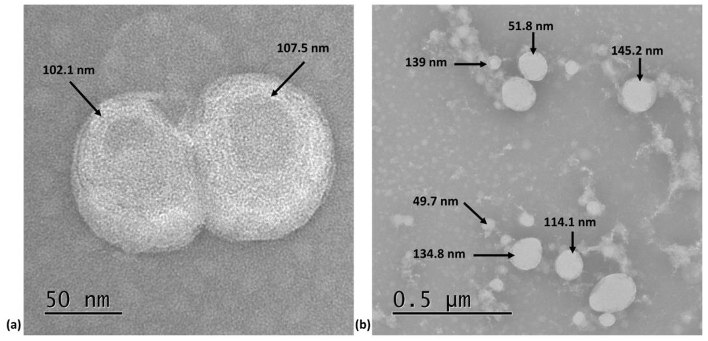 Preprints 96563 g001