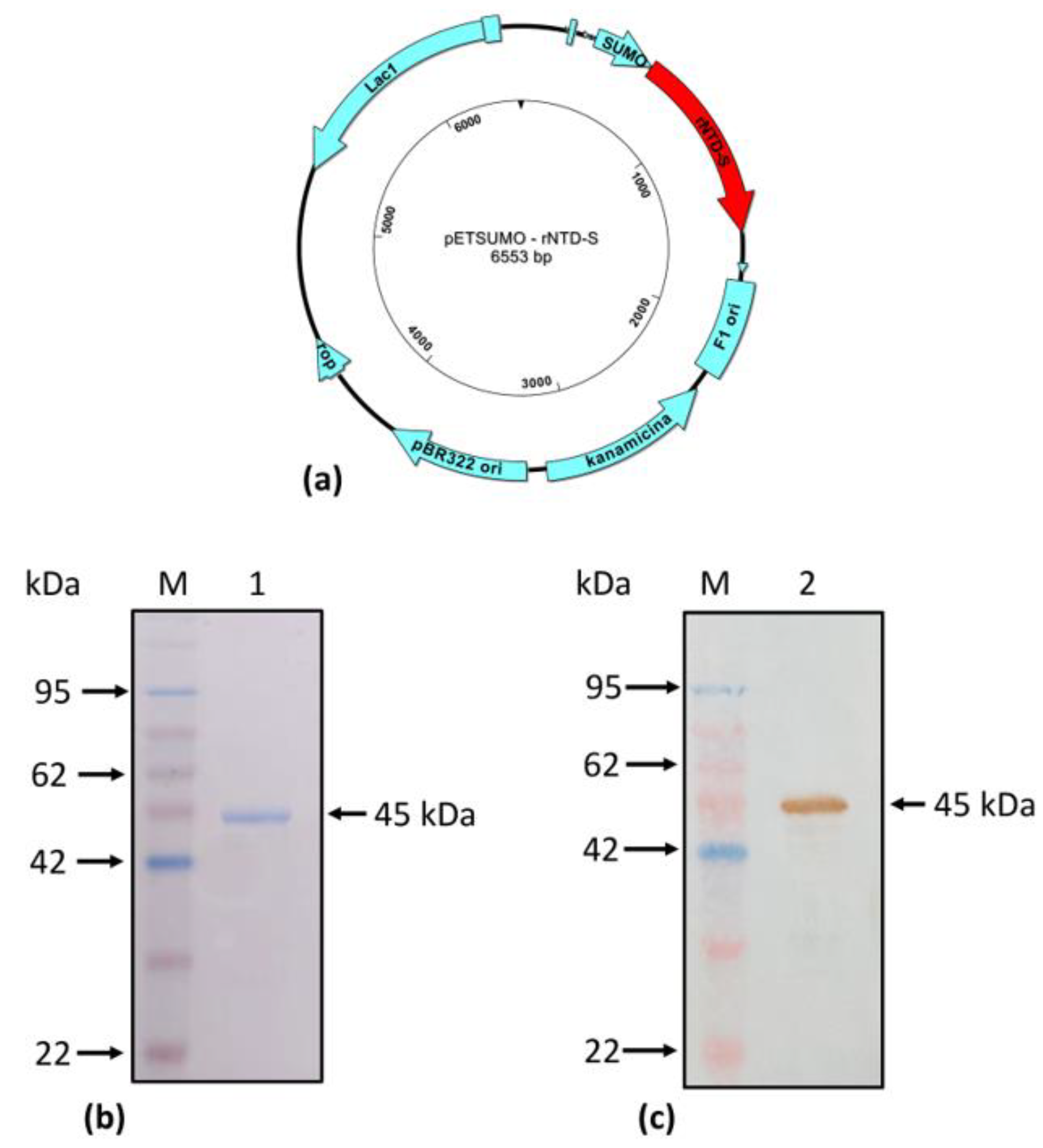 Preprints 96563 g002