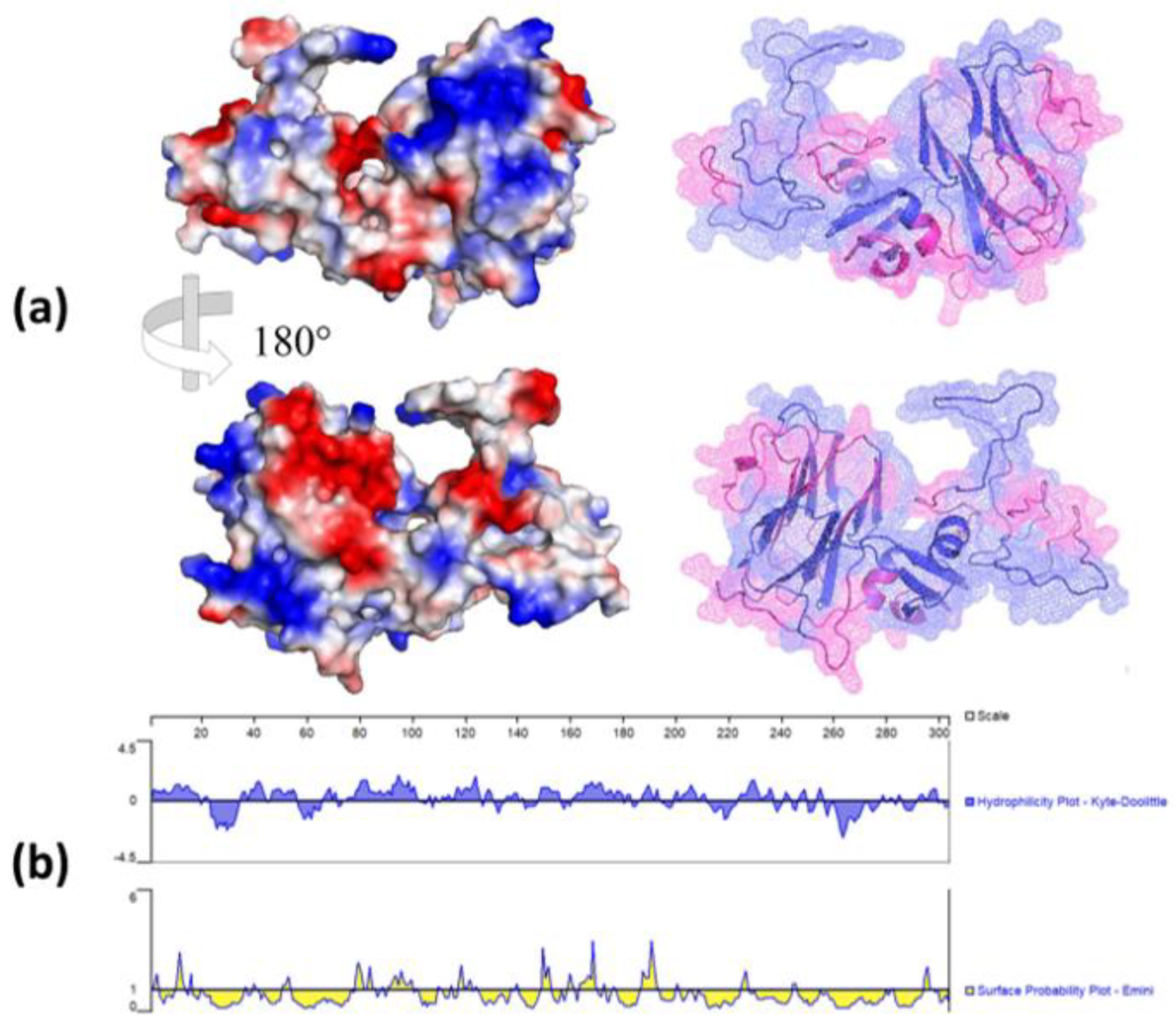 Preprints 96563 g003
