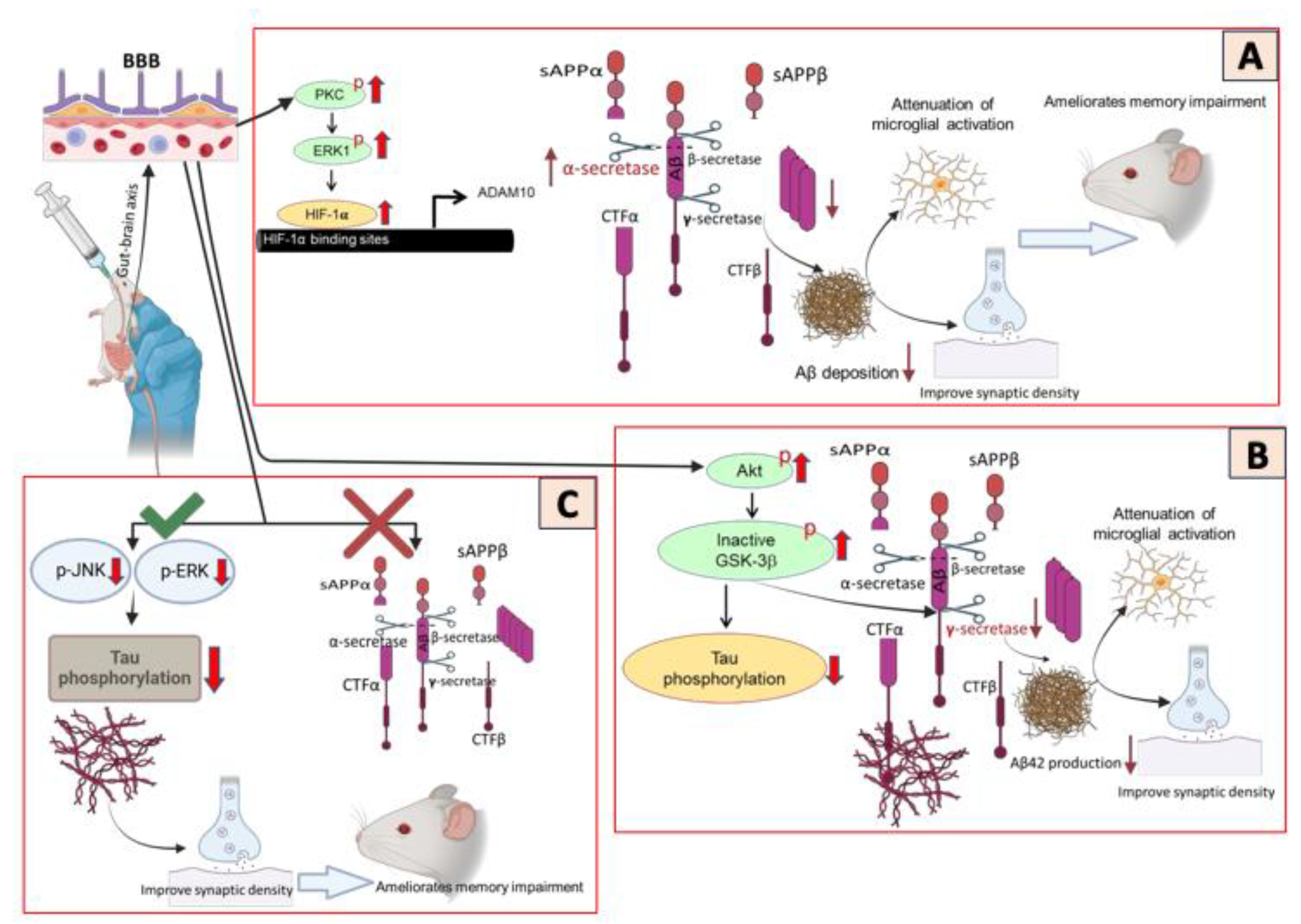 Preprints 144182 g001