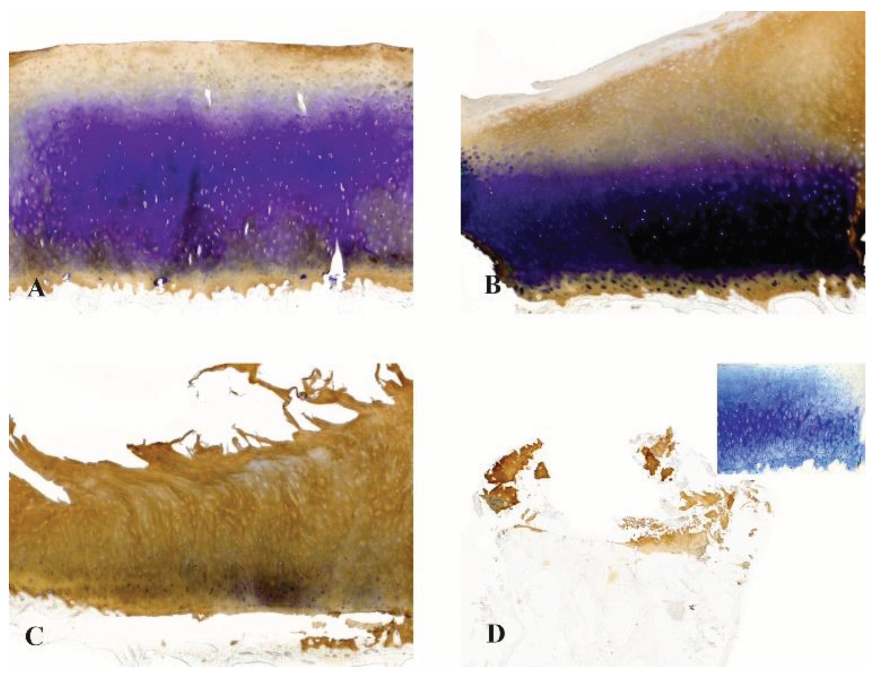 Preprints 101855 g001